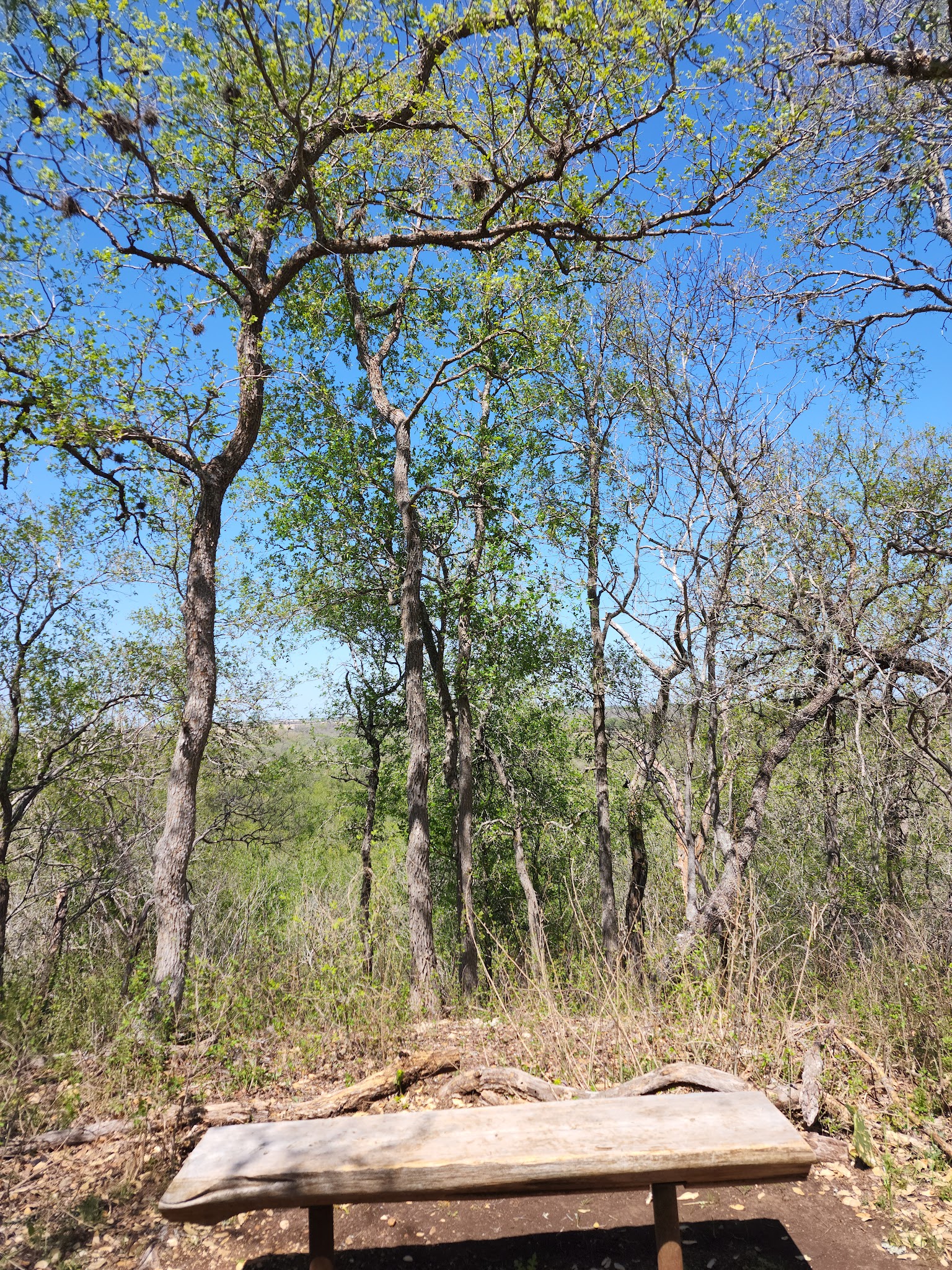 Lockhart State Park