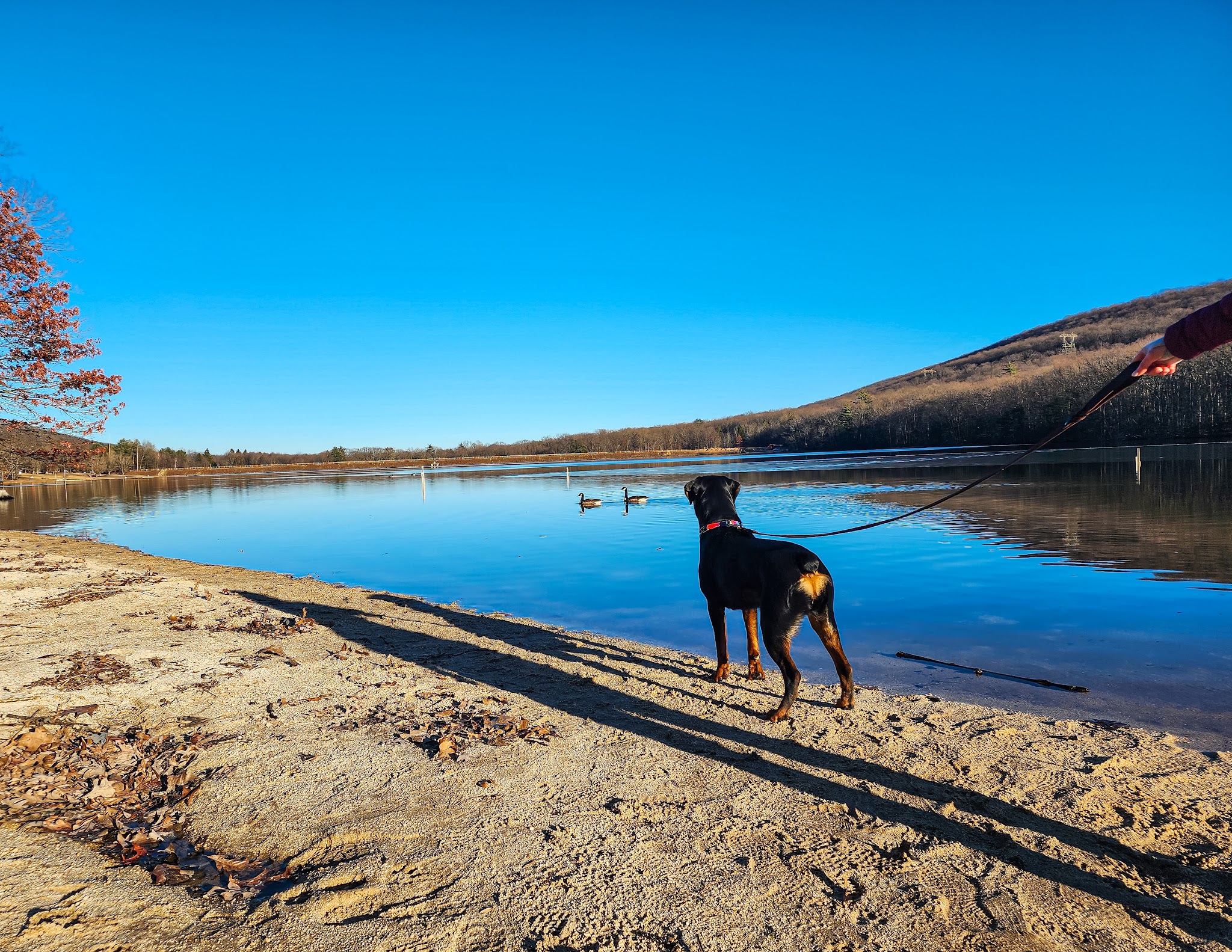 Locust Lake State Park
