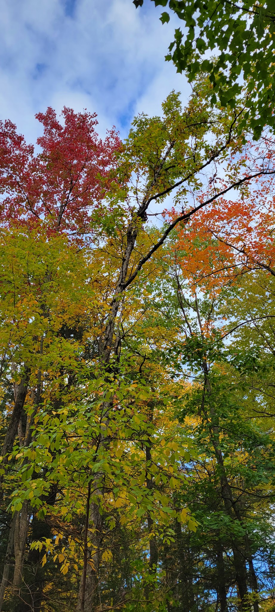 Locust Lake State Park