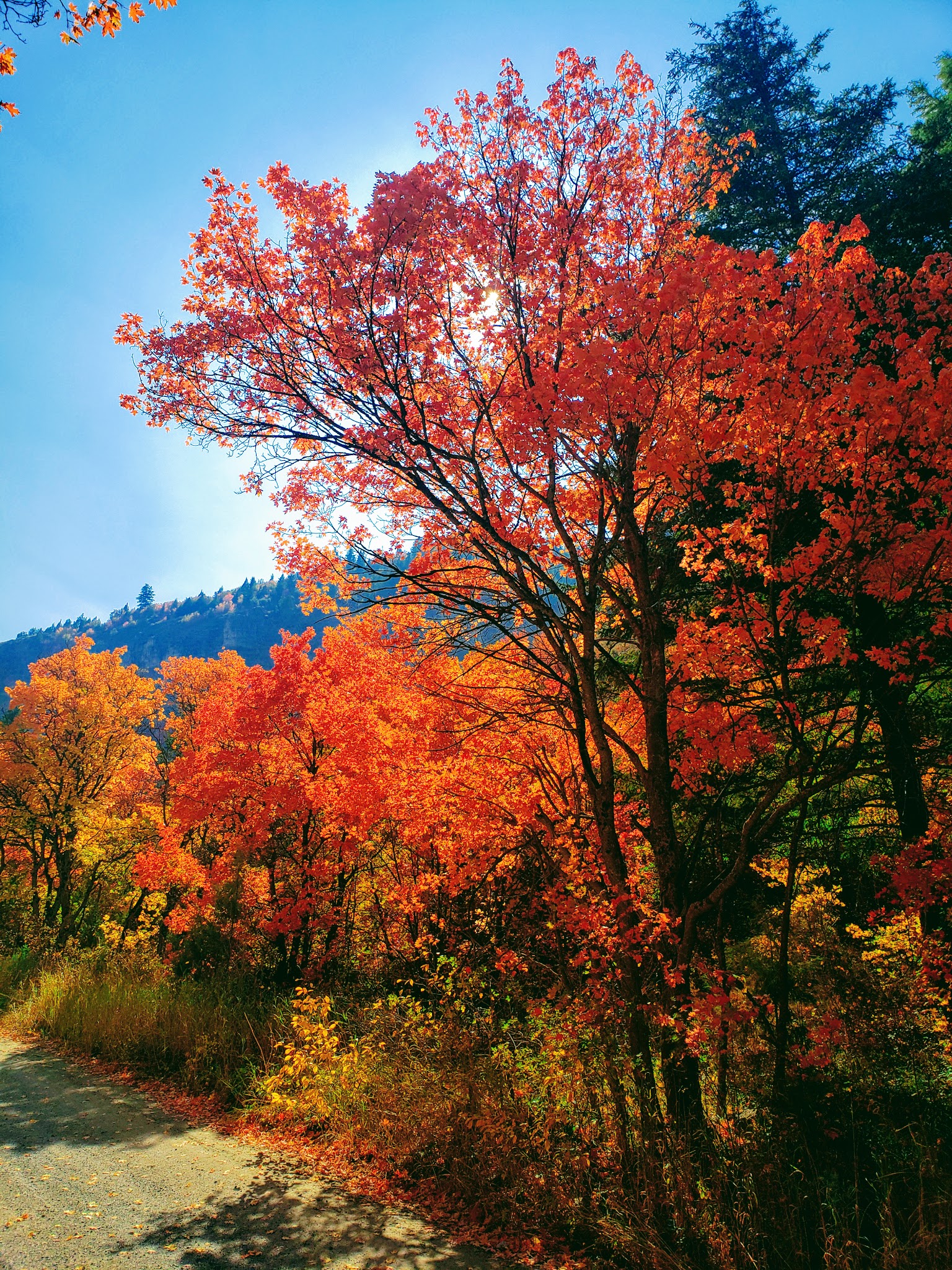 Lodge Campground (Ut)