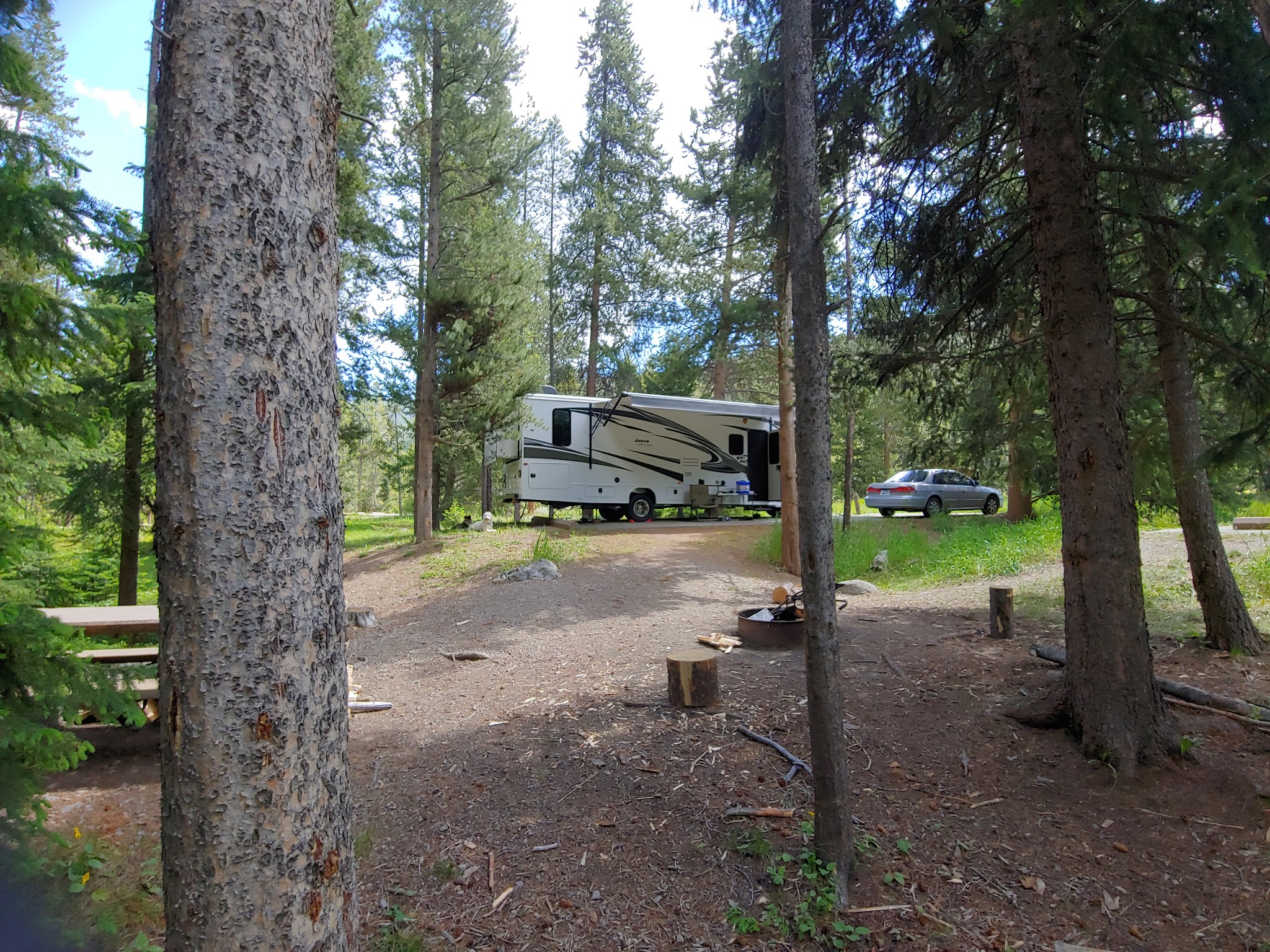 Lodgepole Campground