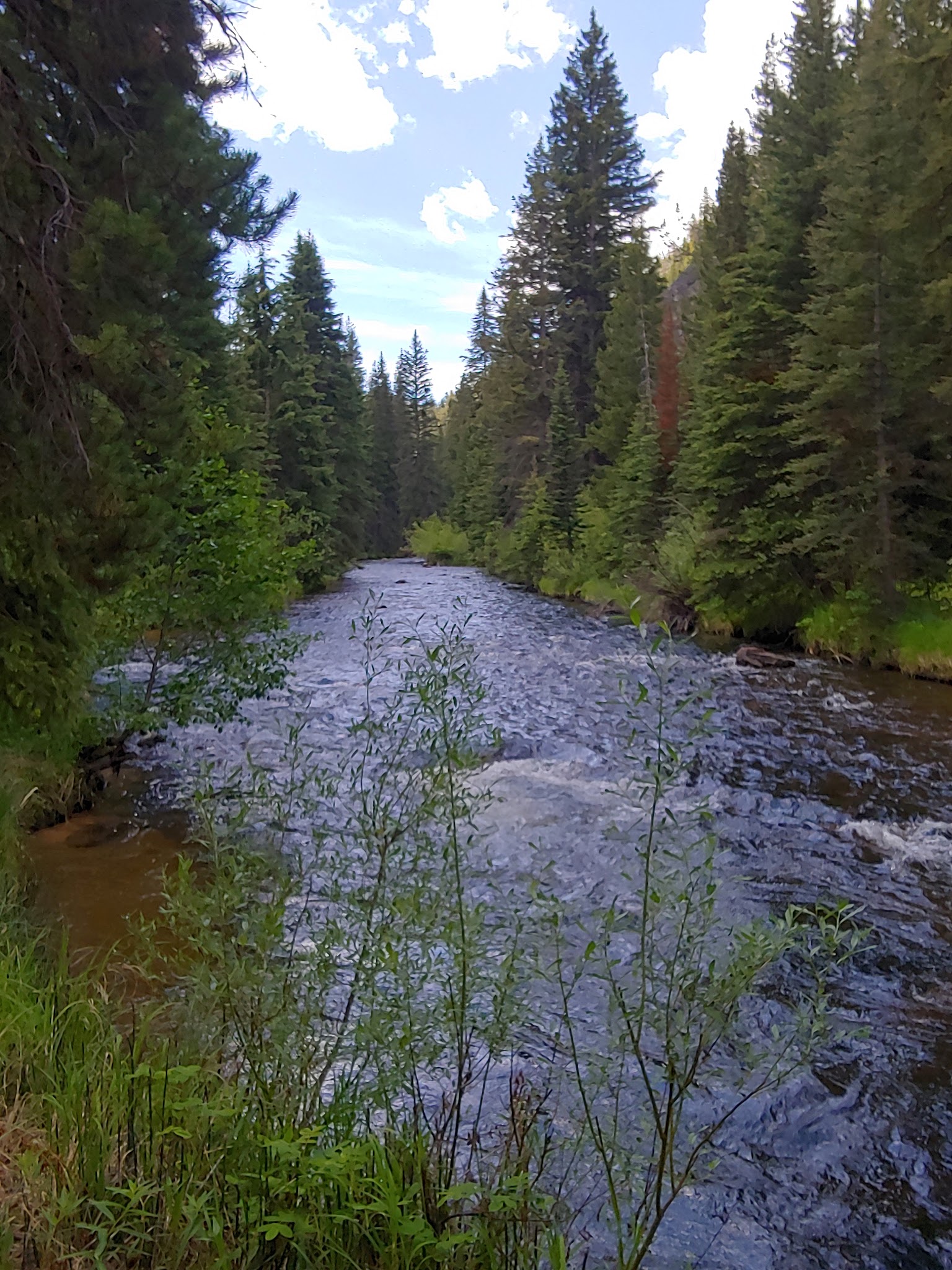 Lodgepole Campground | MT | Camping Information & Reviews