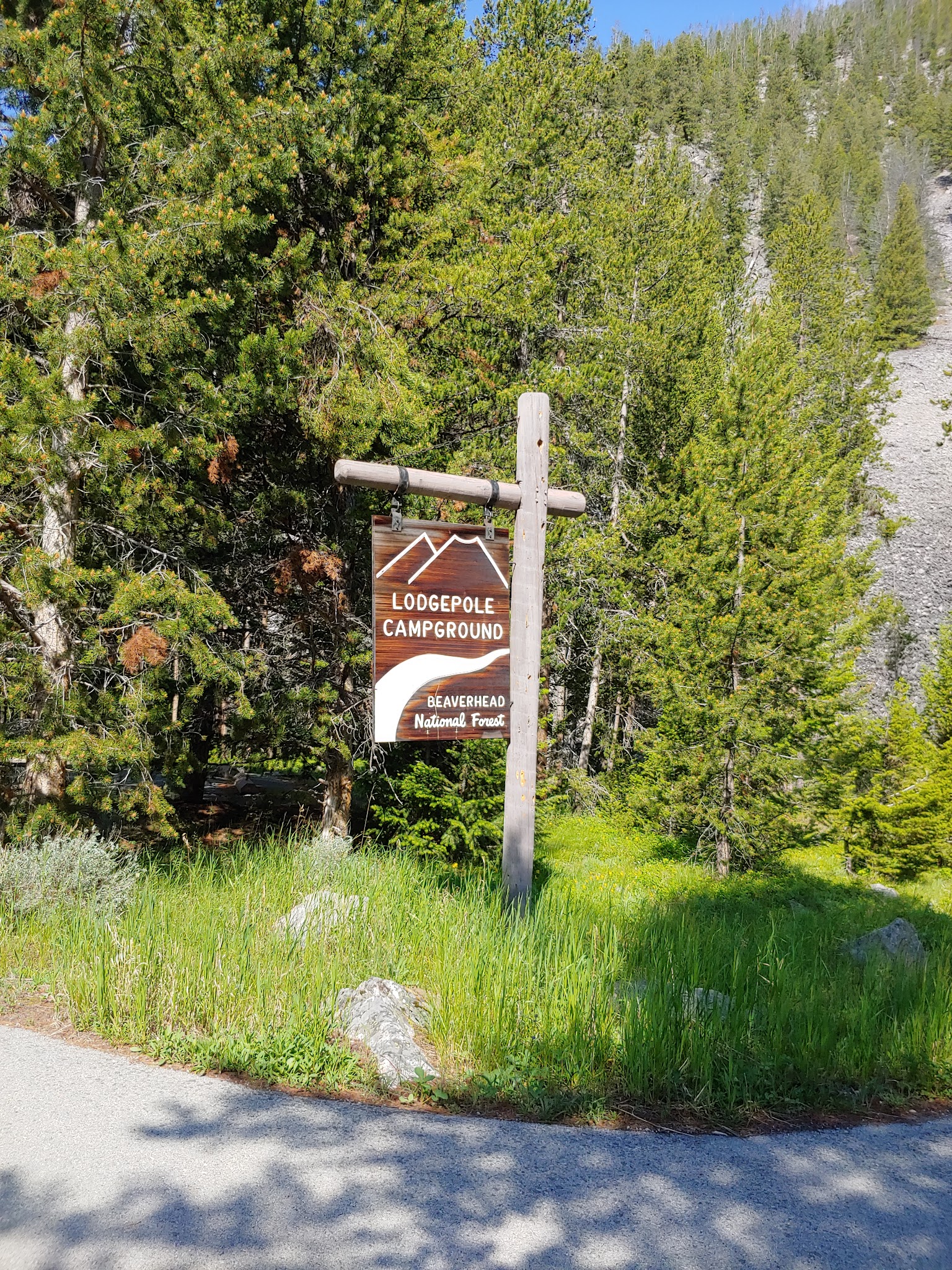 Lodgepole Campground