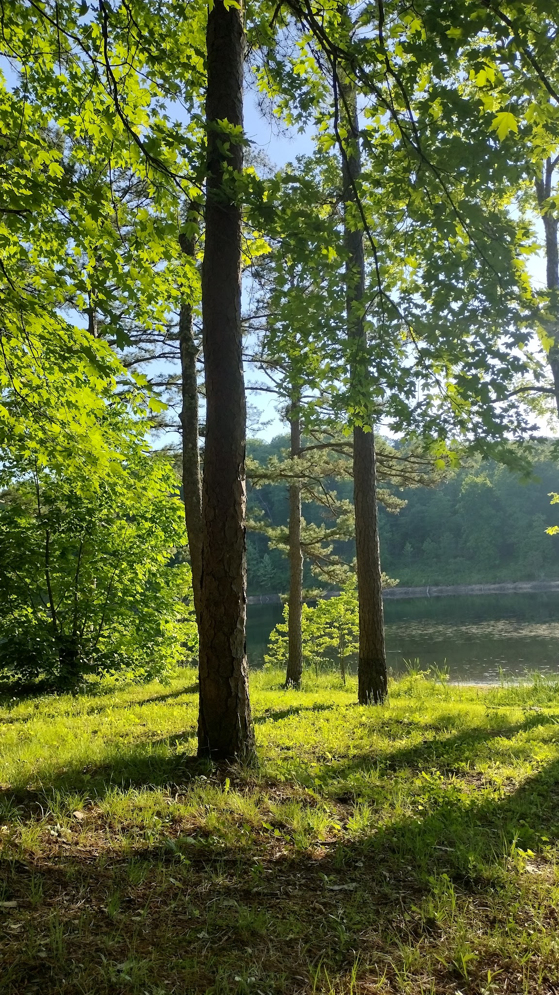 Loggers Lake Recreation Area