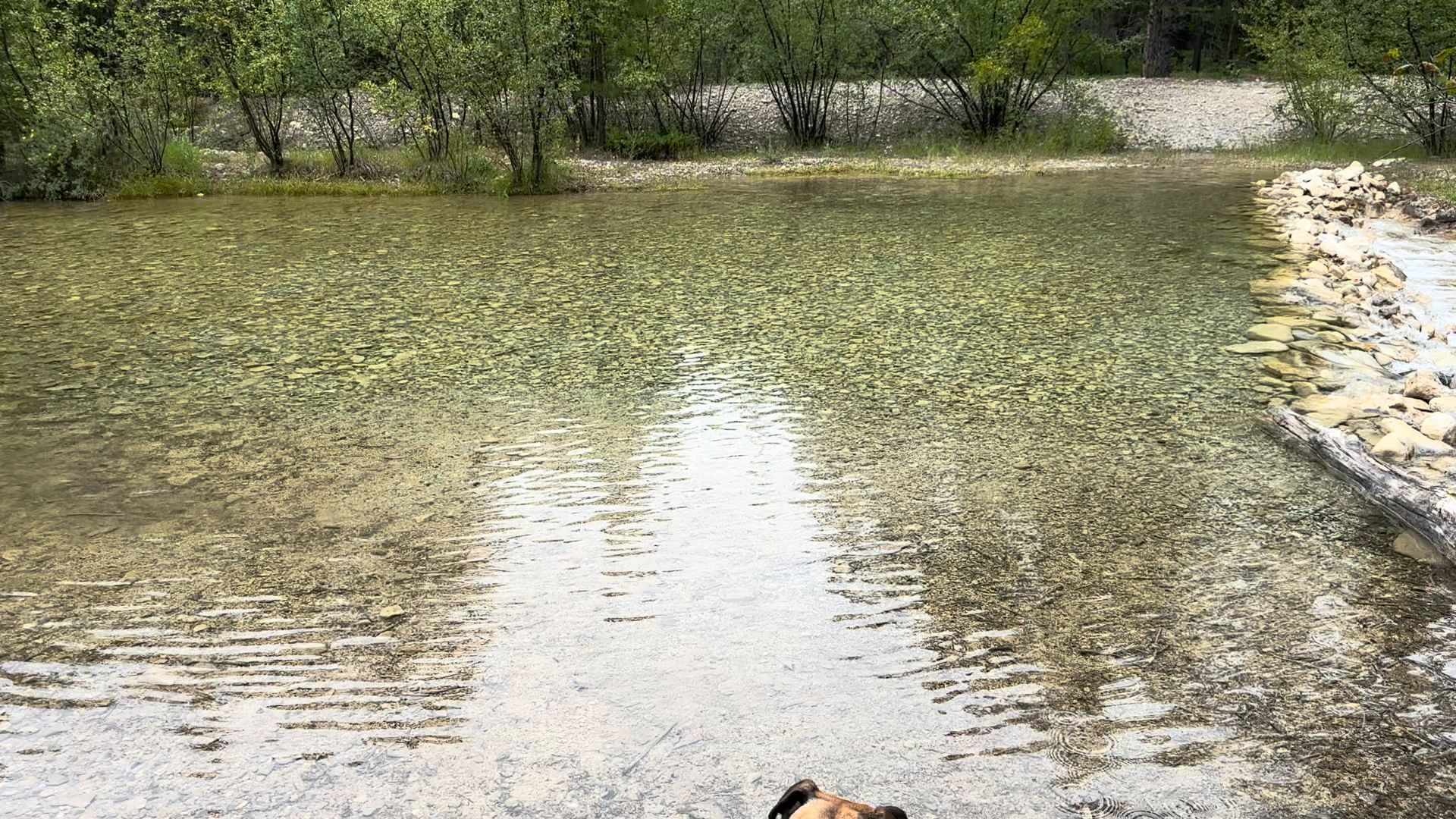 Logging Creek Campground