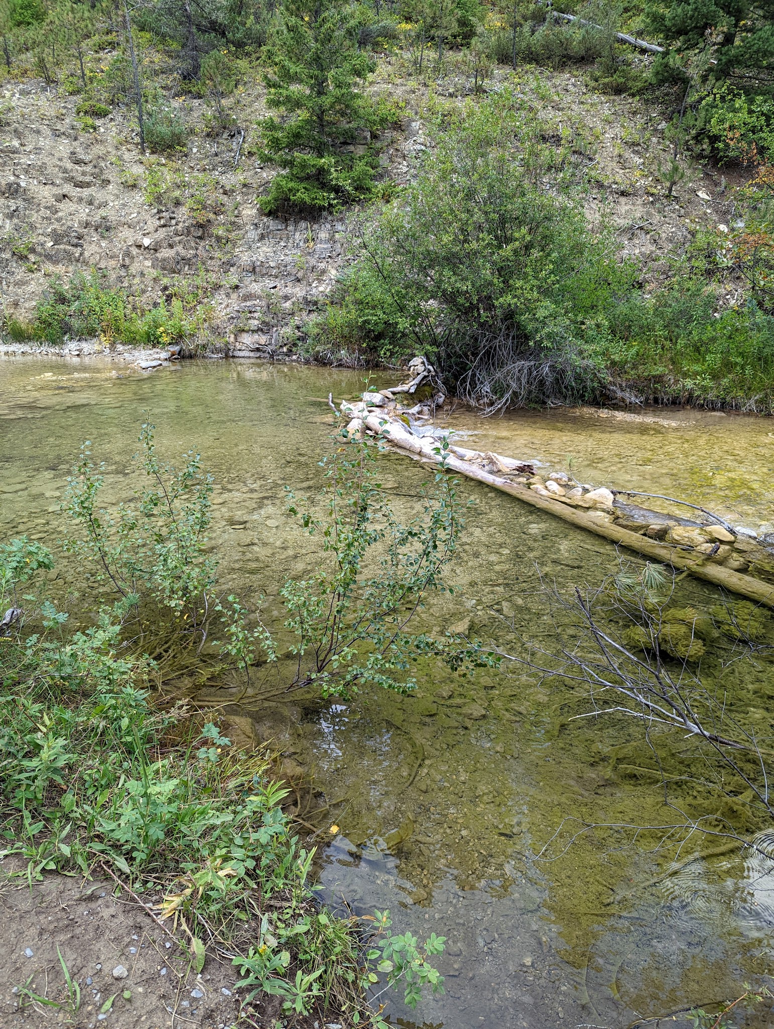 Logging Creek Campground