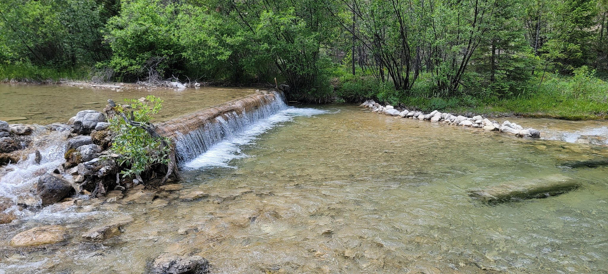Logging Creek Campground