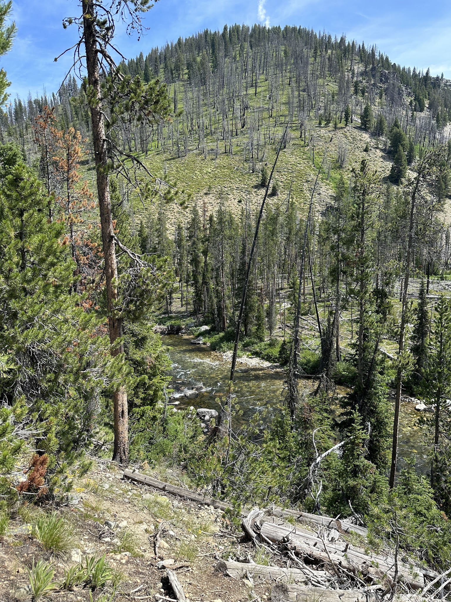 Lola Creek Campground