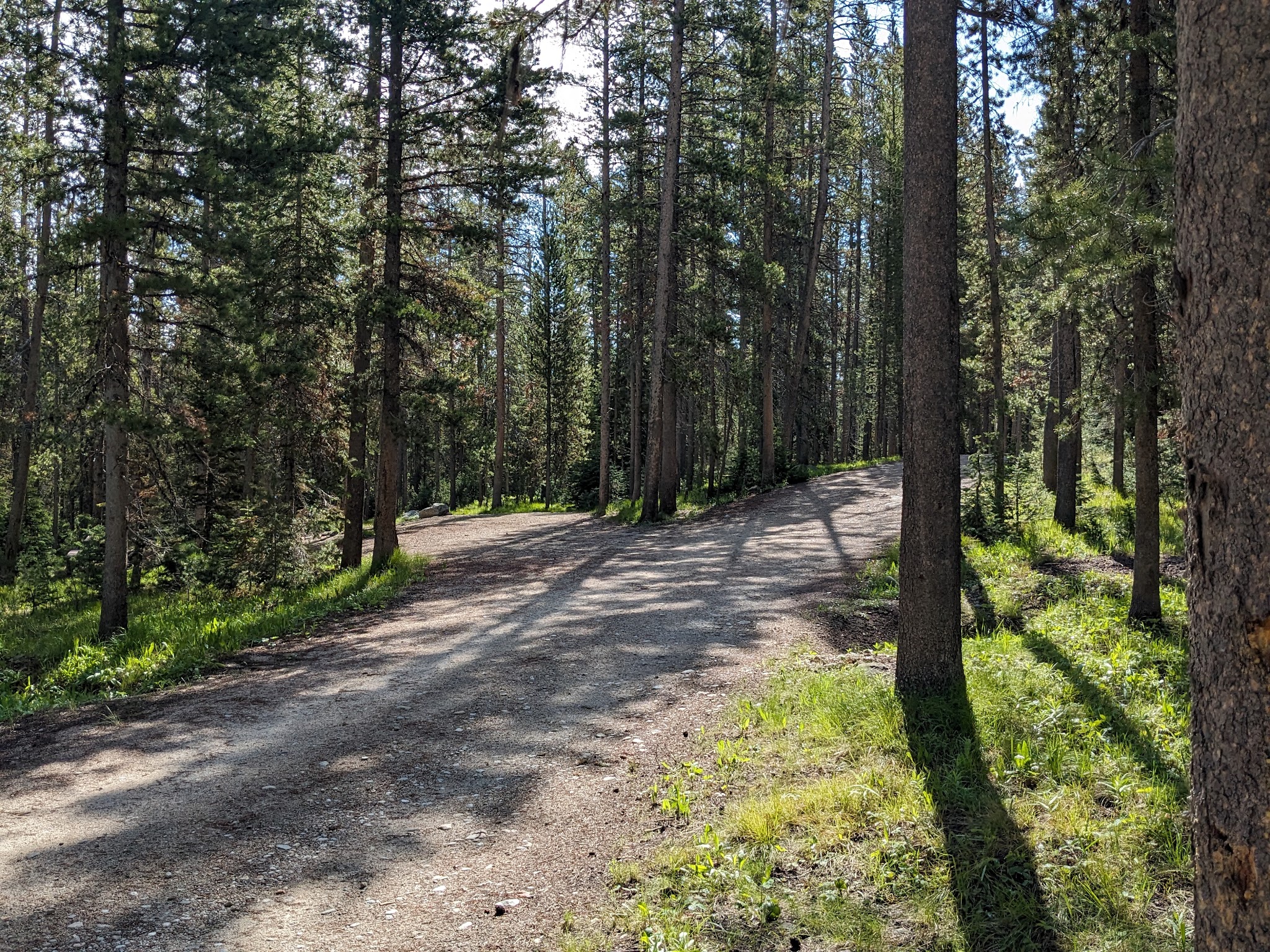 Lola Creek Campground
