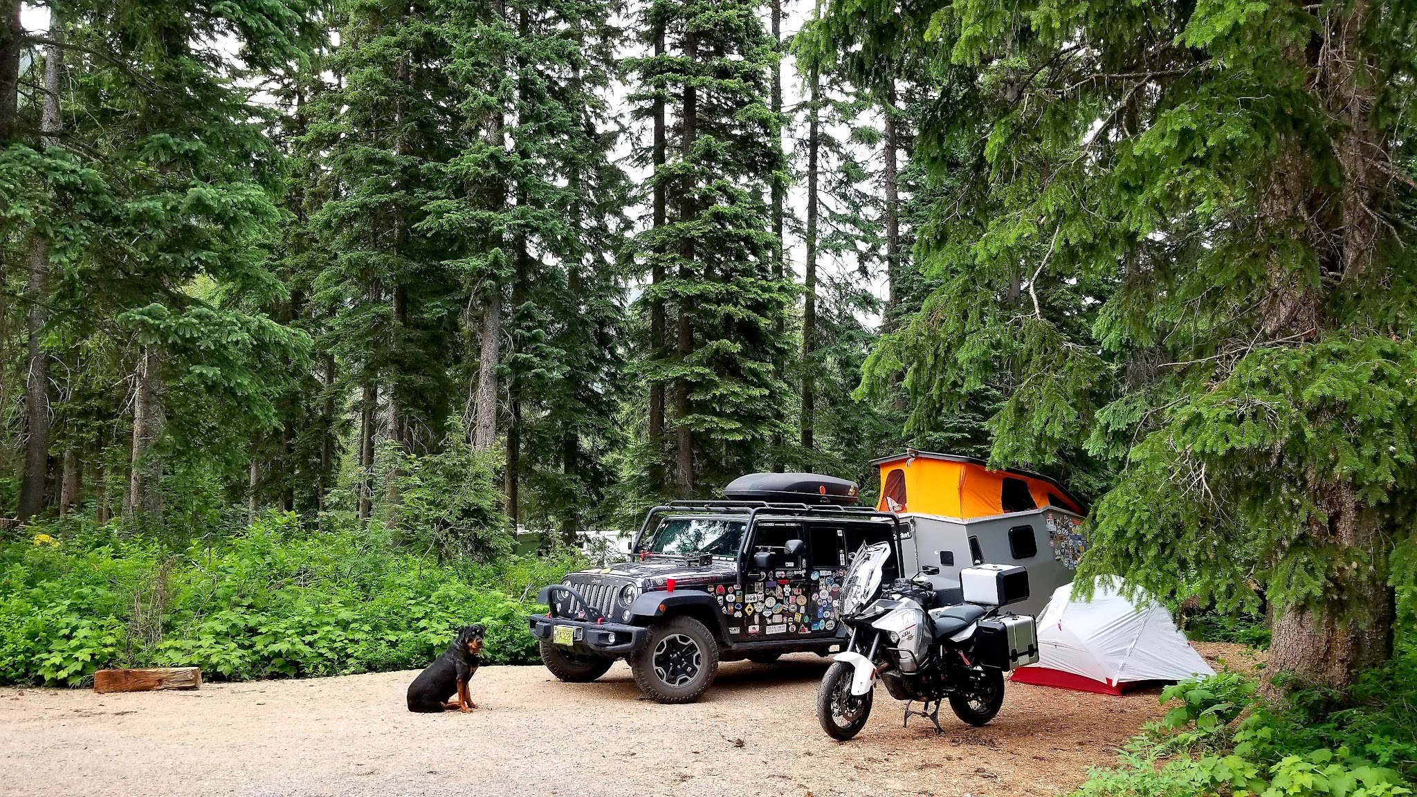 Lone Fir Campground