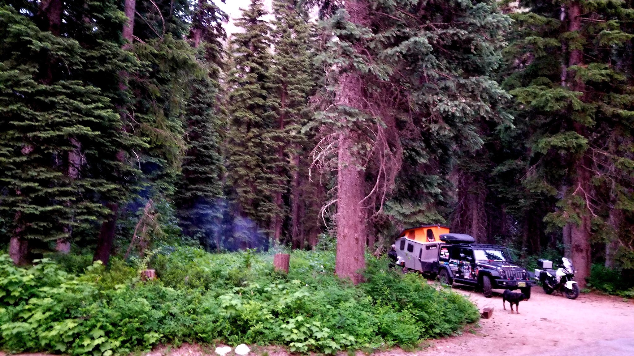 Lone Fir Campground