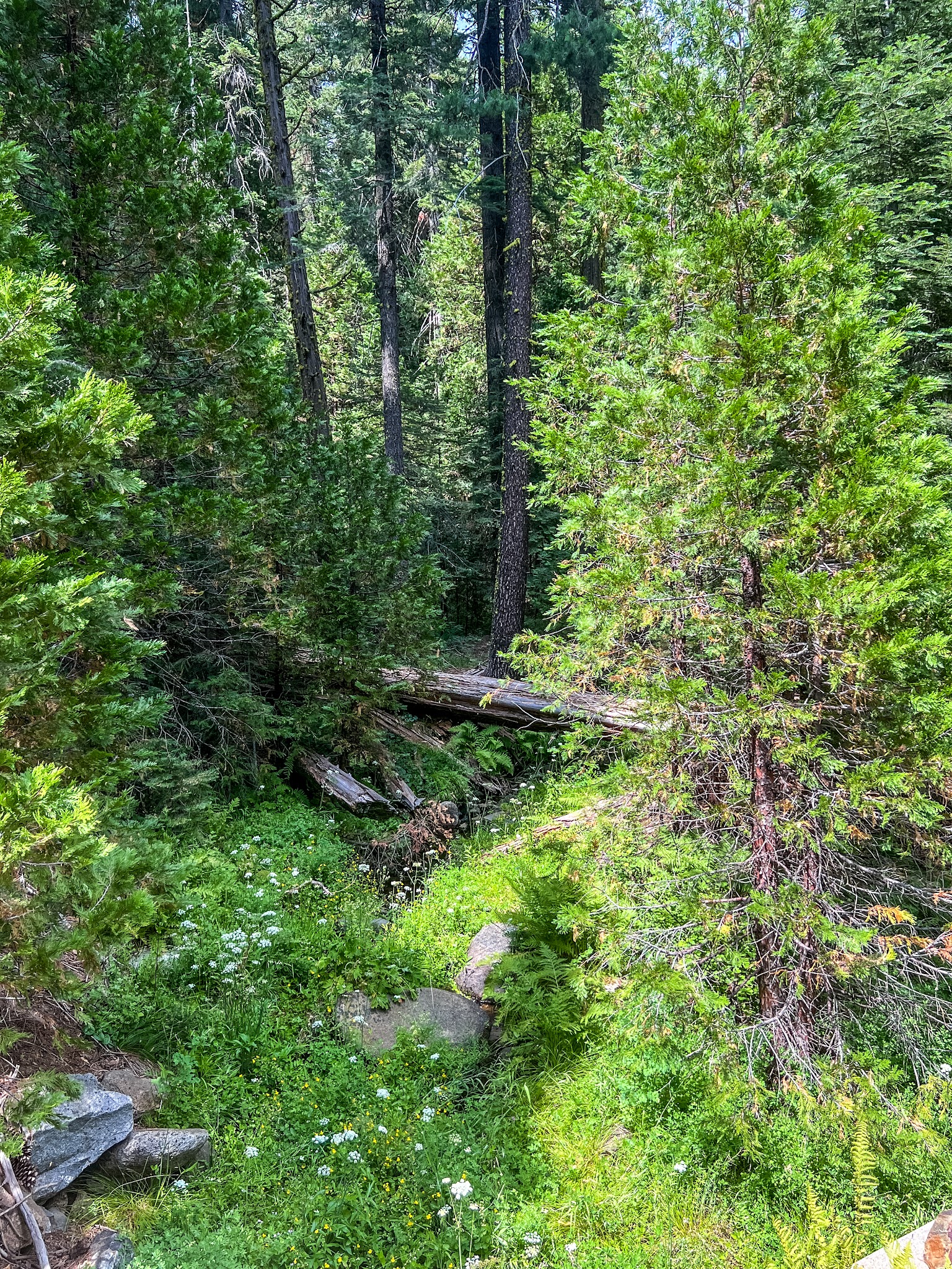 Lone Rock Campground