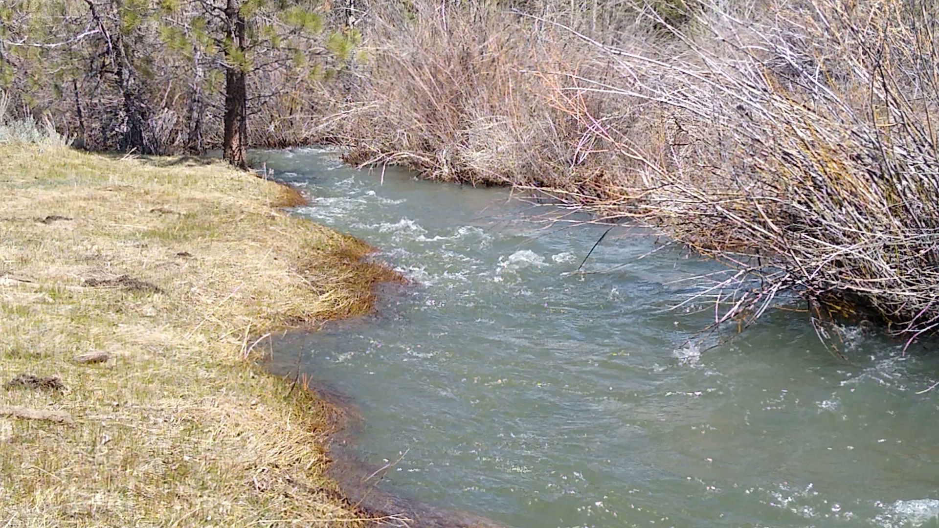 Lone Rock Campground