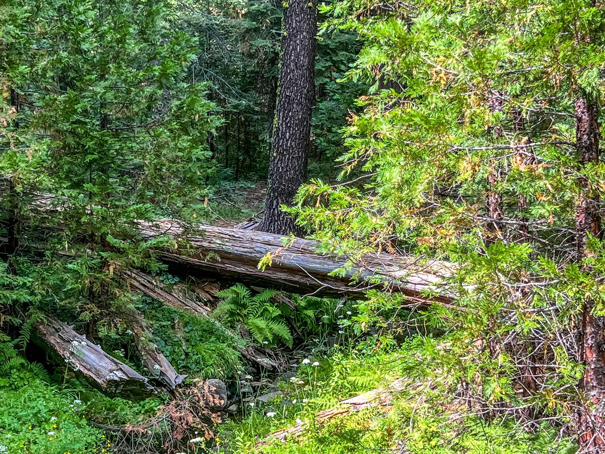 Lone Rock Campground
