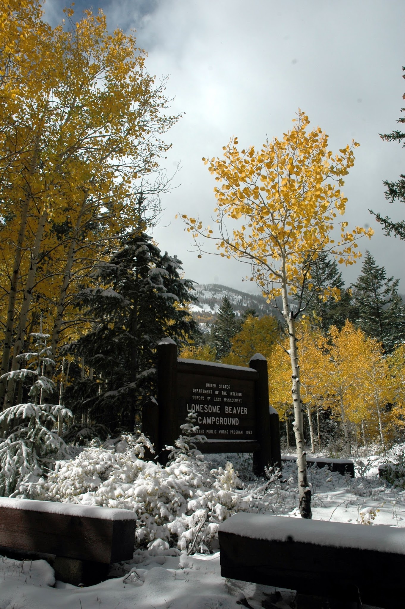 Lonesome Beaver Campground