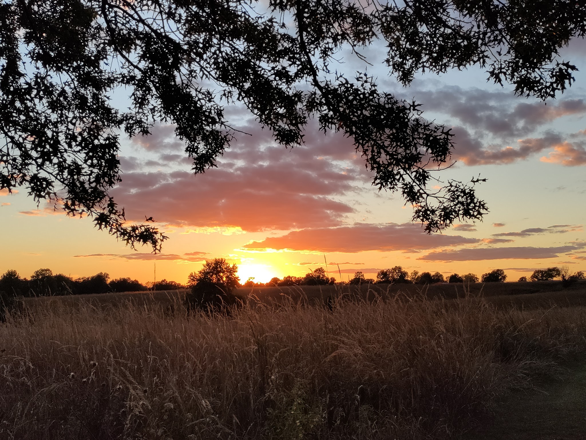 Long Branch State Park Campground