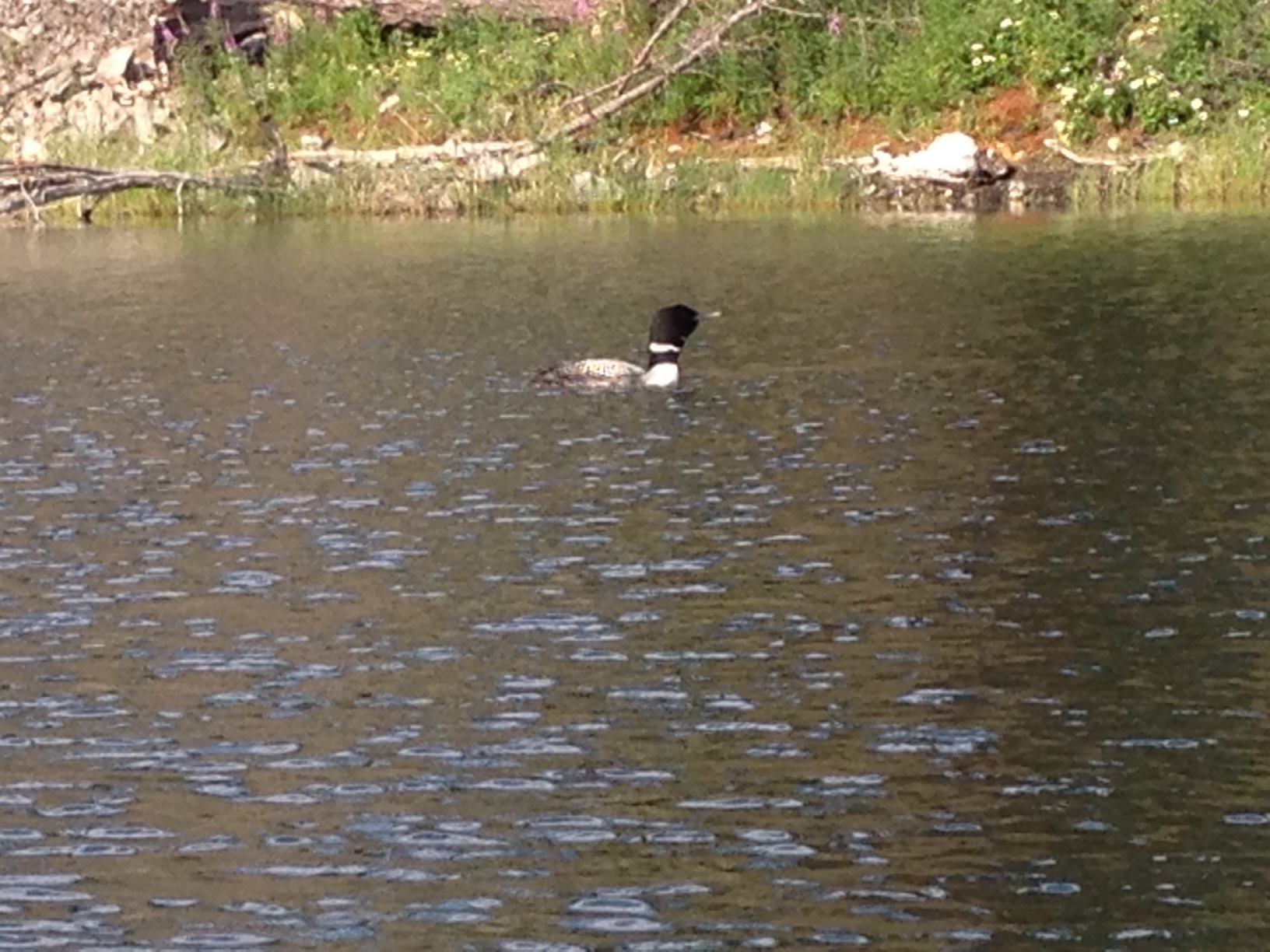 Long Lake Campground