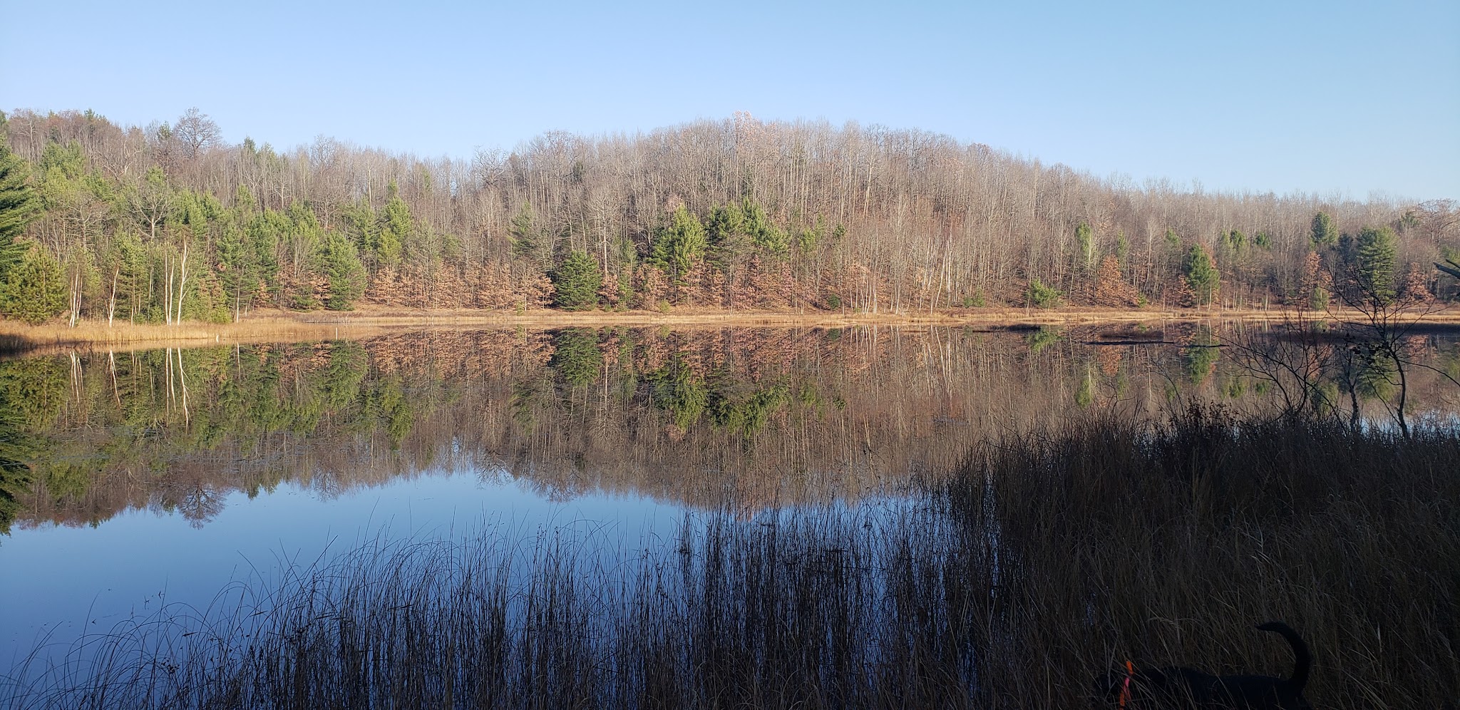 Long Lake State Forest Campground (Missaukee)