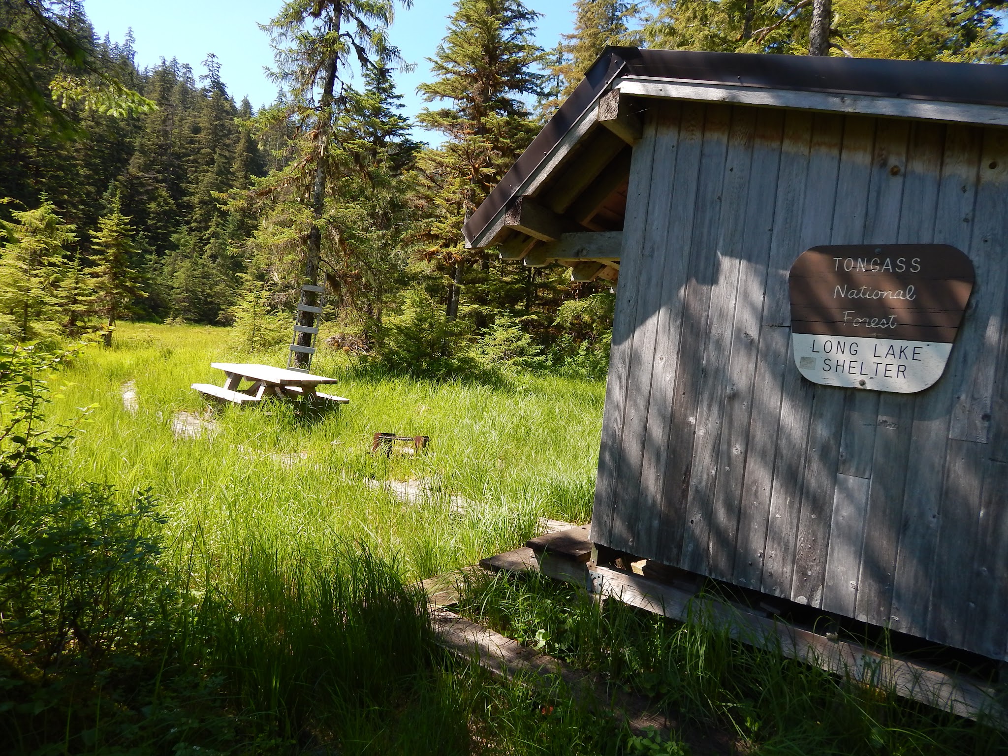 Long Lake Shelter