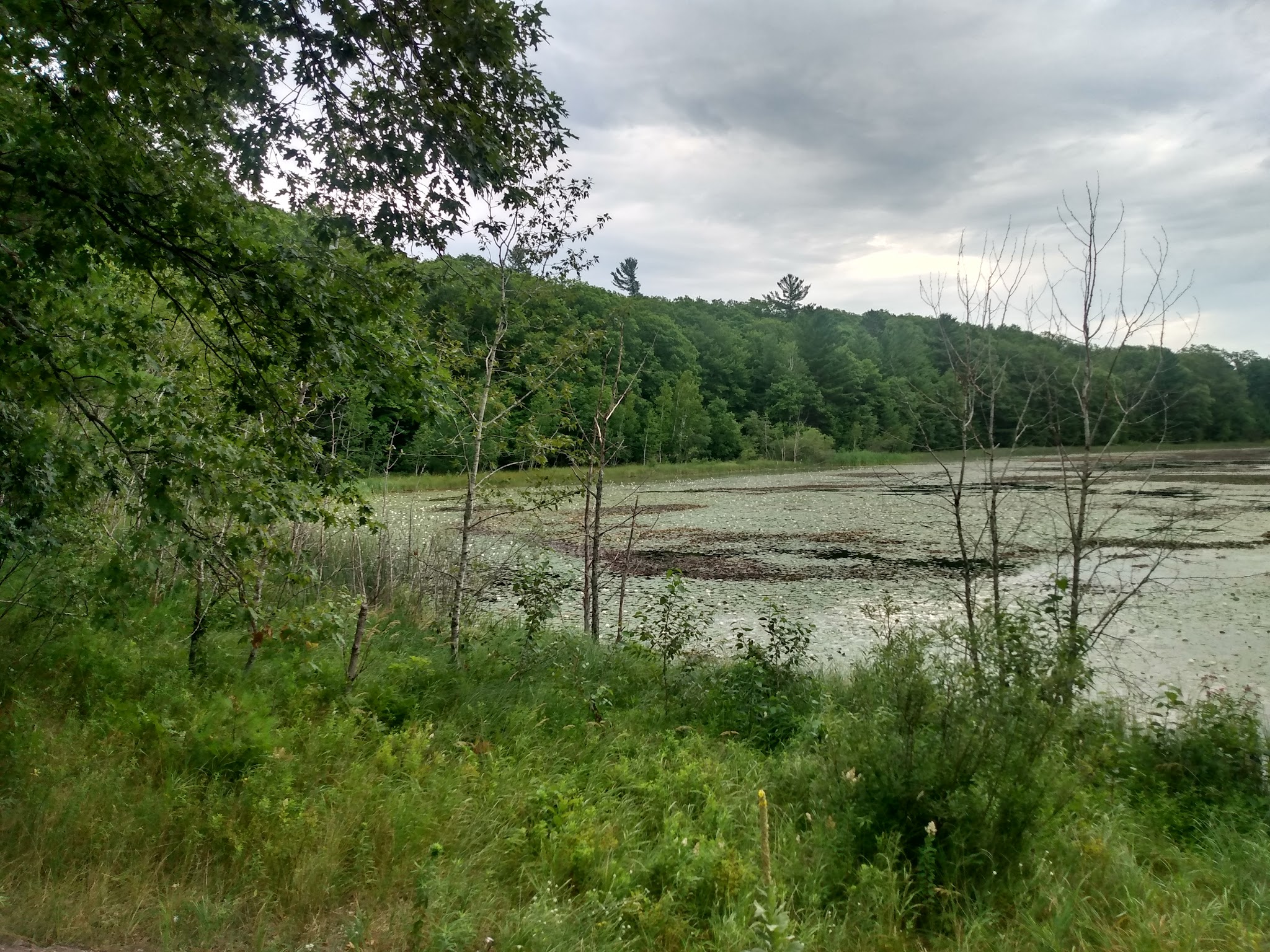 Long Lake State Forest Campground  (Wexford)