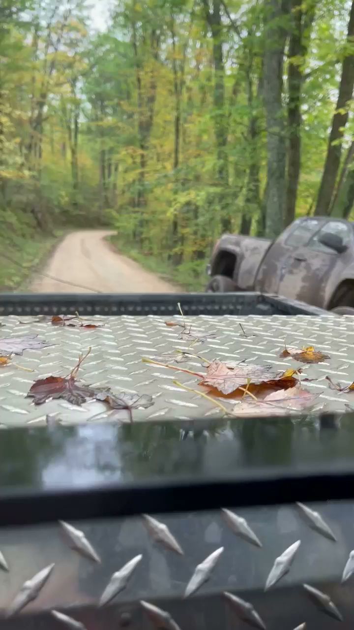 Long Lake State Forest Campground  (Wexford)