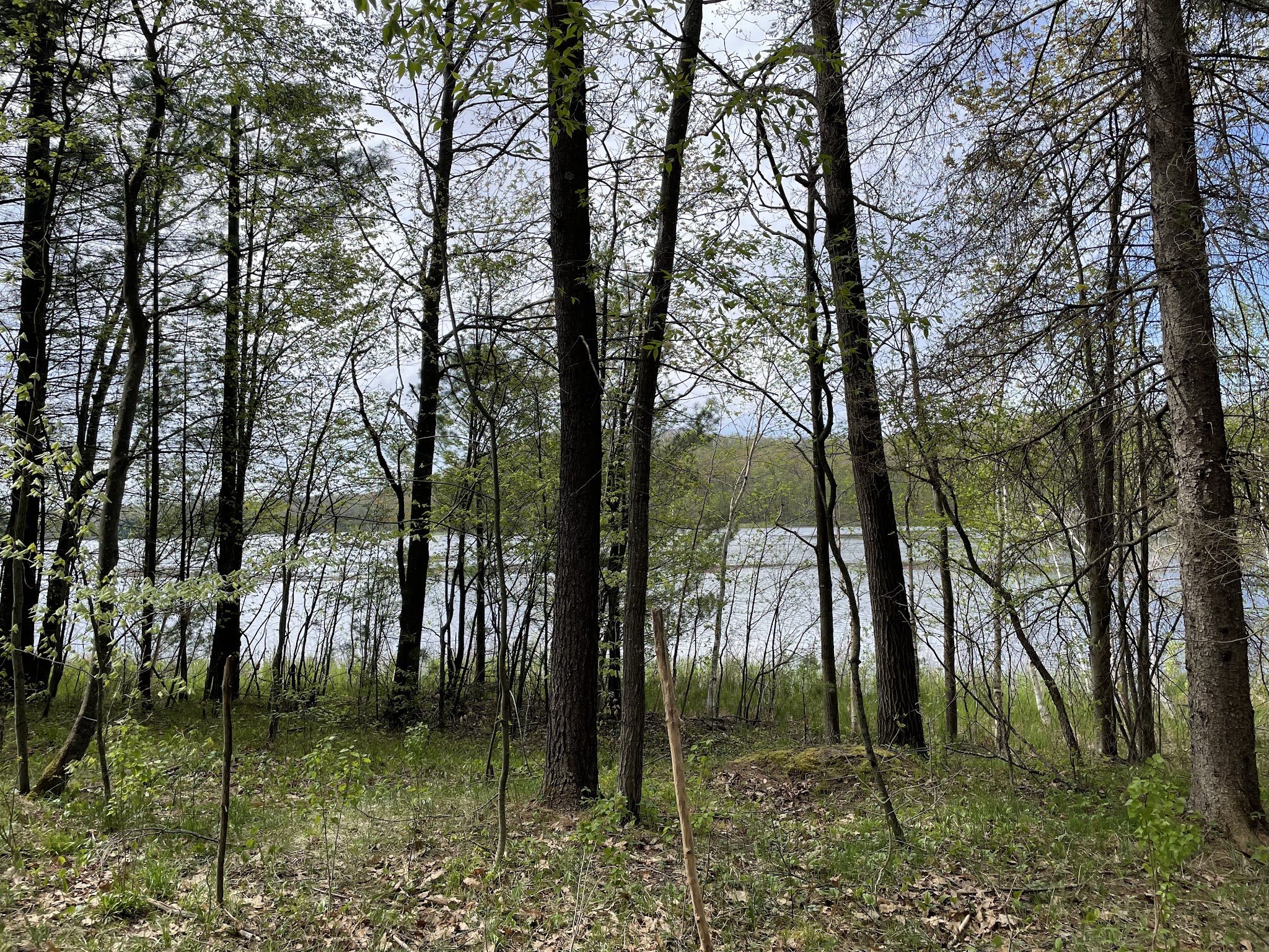 Long Lake State Forest Campground  (Wexford)