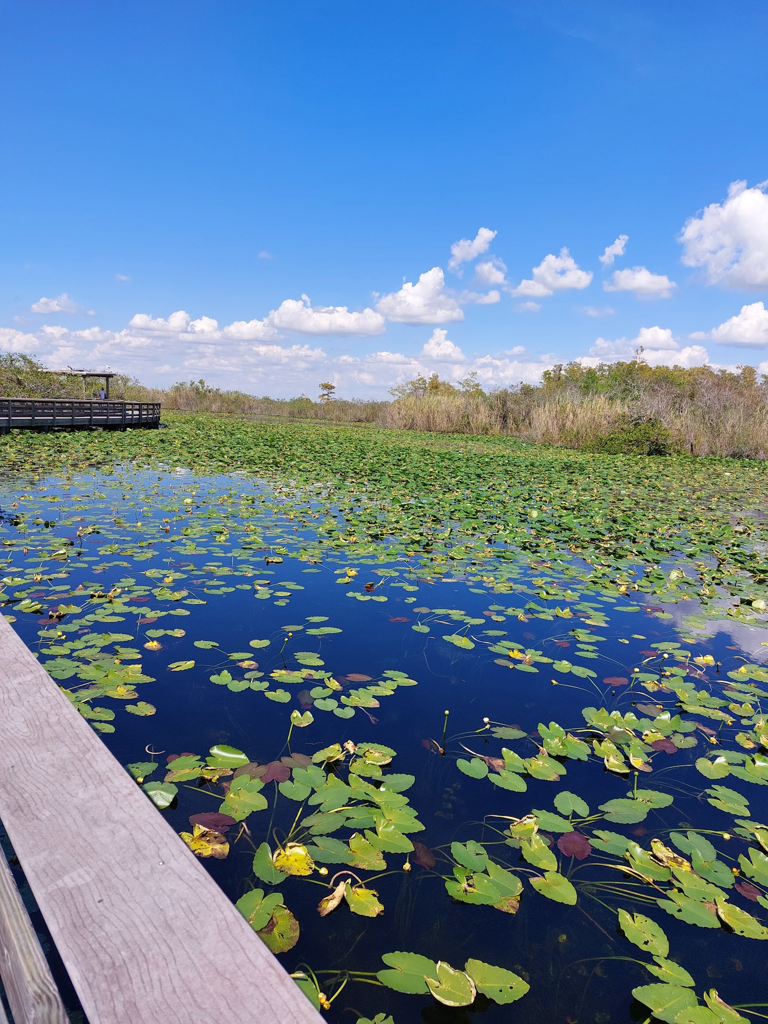 Long Pine Key Campground