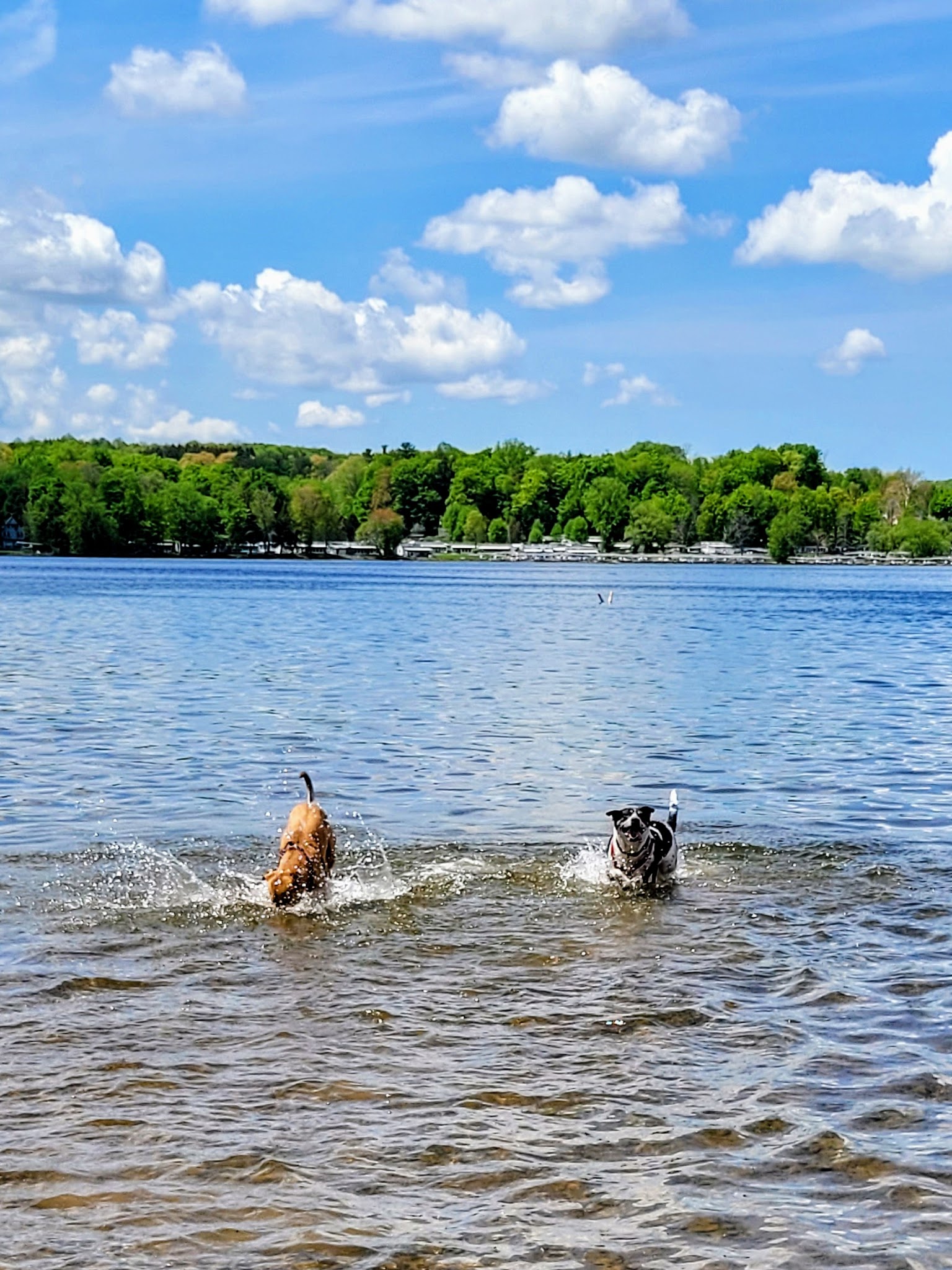 Long Point State Park On Lake Chautauqua