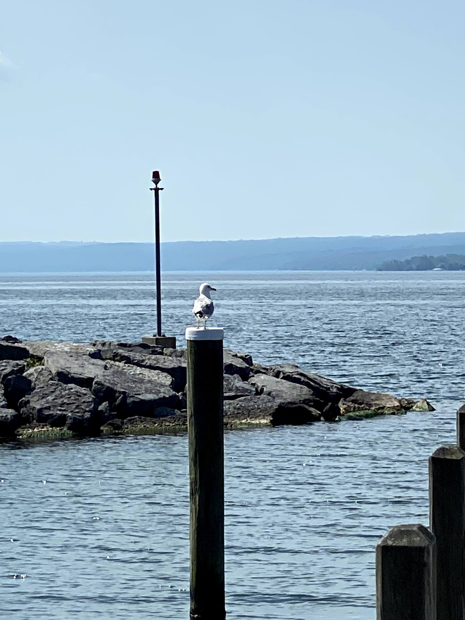 Long Point State Park - Finger Lakes