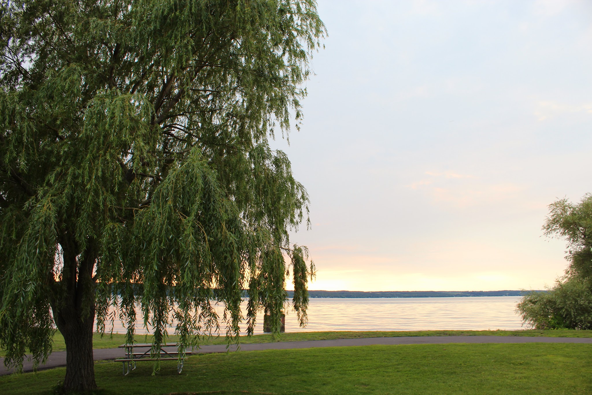 Long Point State Park - Finger Lakes