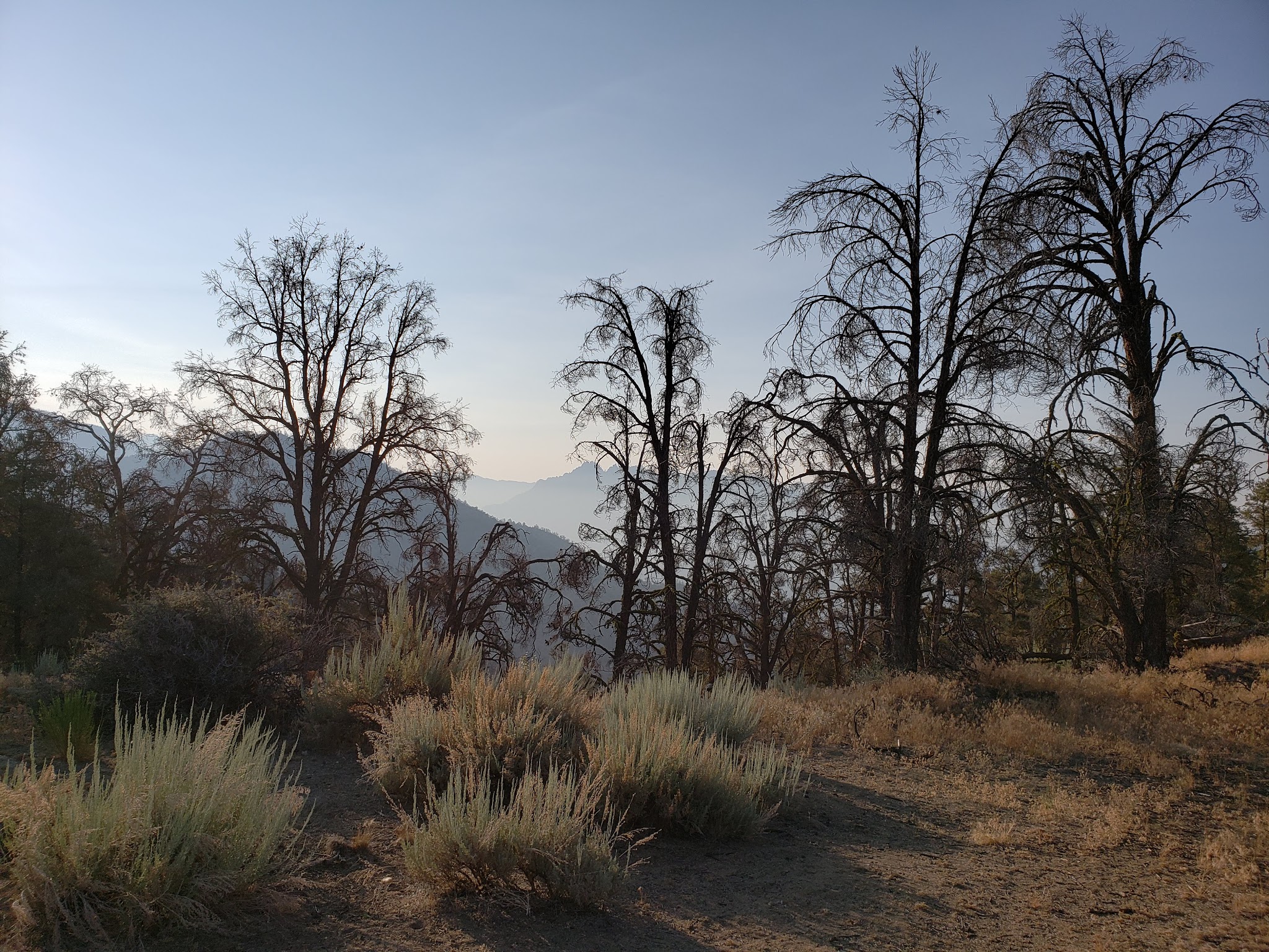 Long Valley Campground