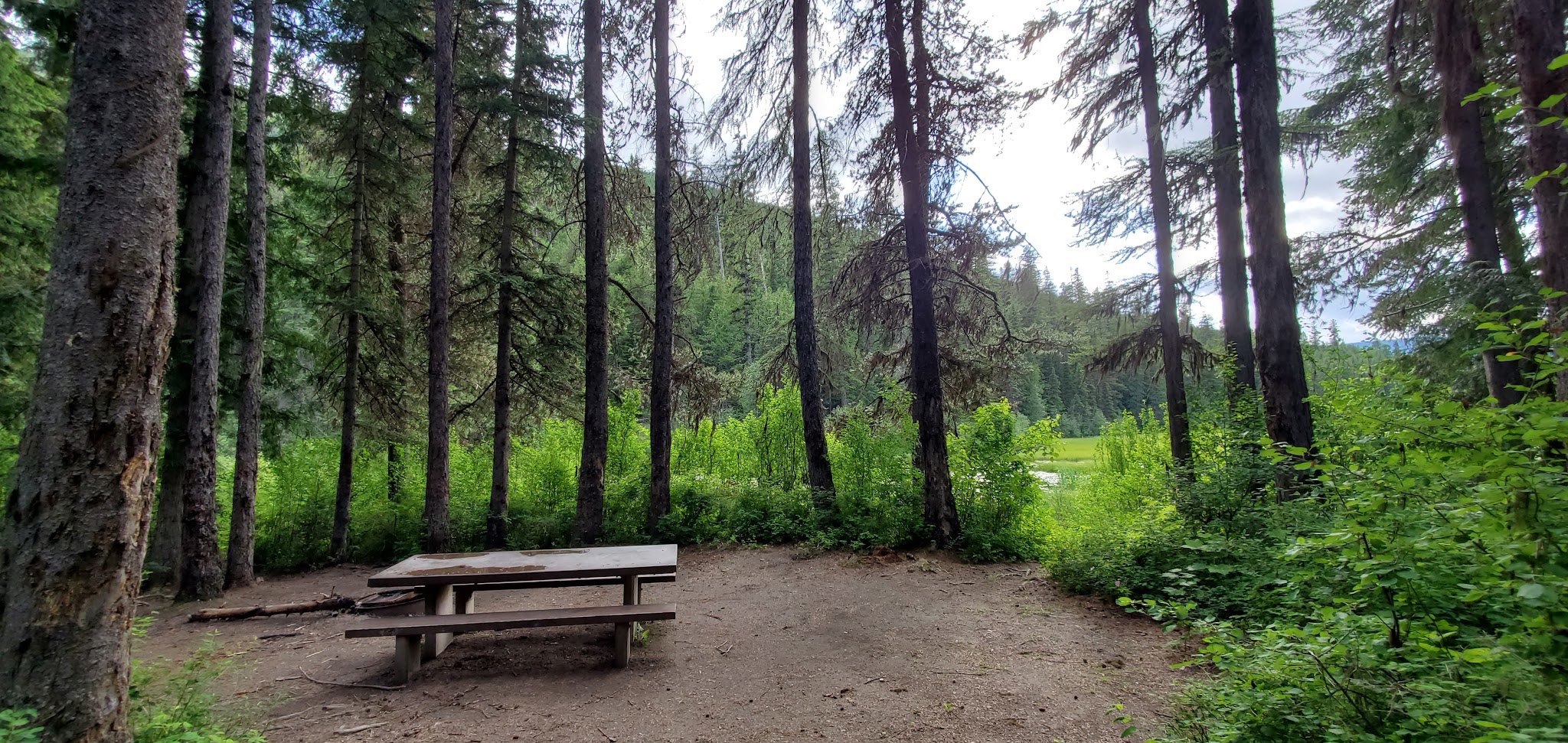 Loon Lake Campground