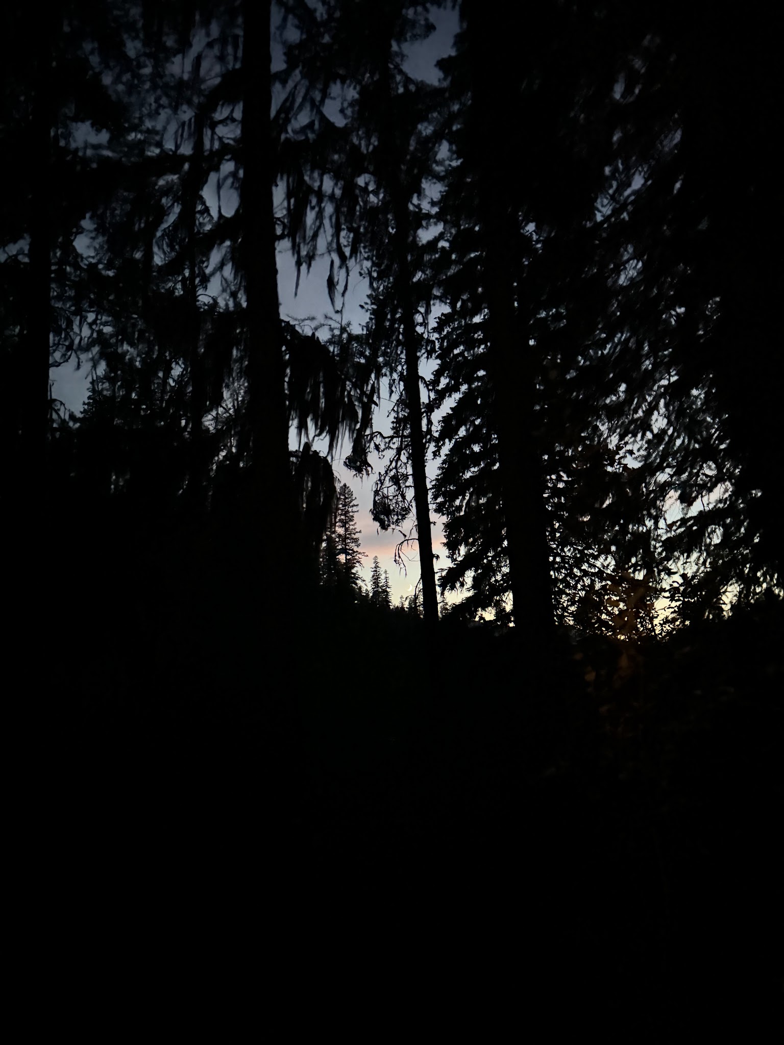 Loon Lake Campground