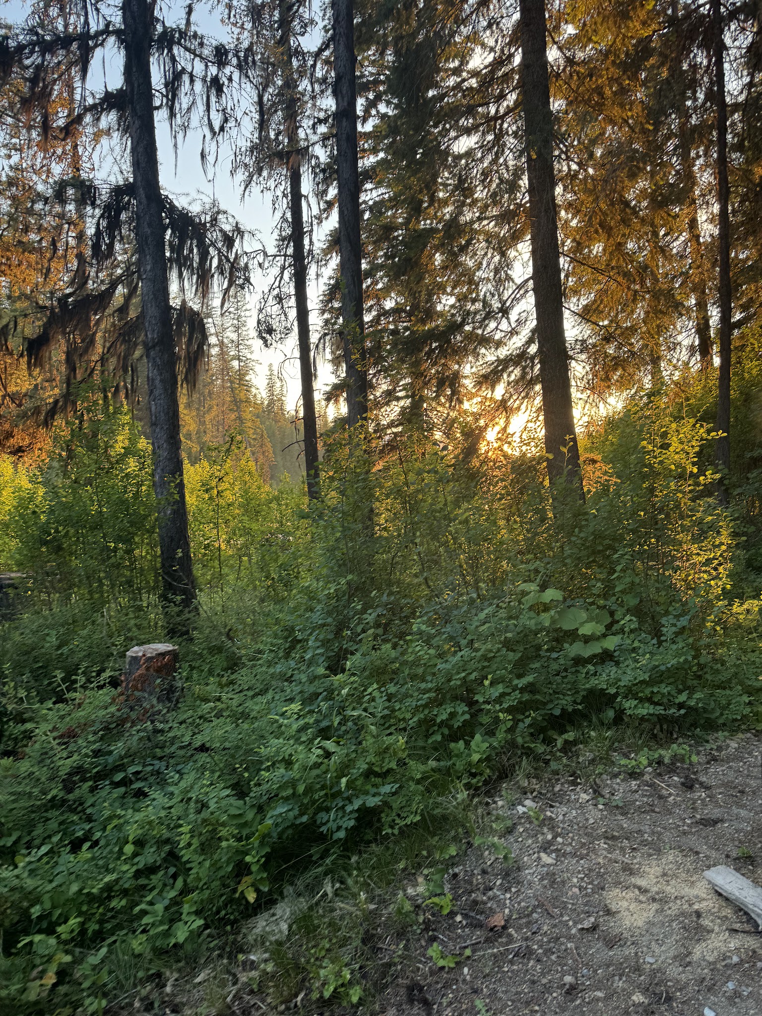 Loon Lake Campground