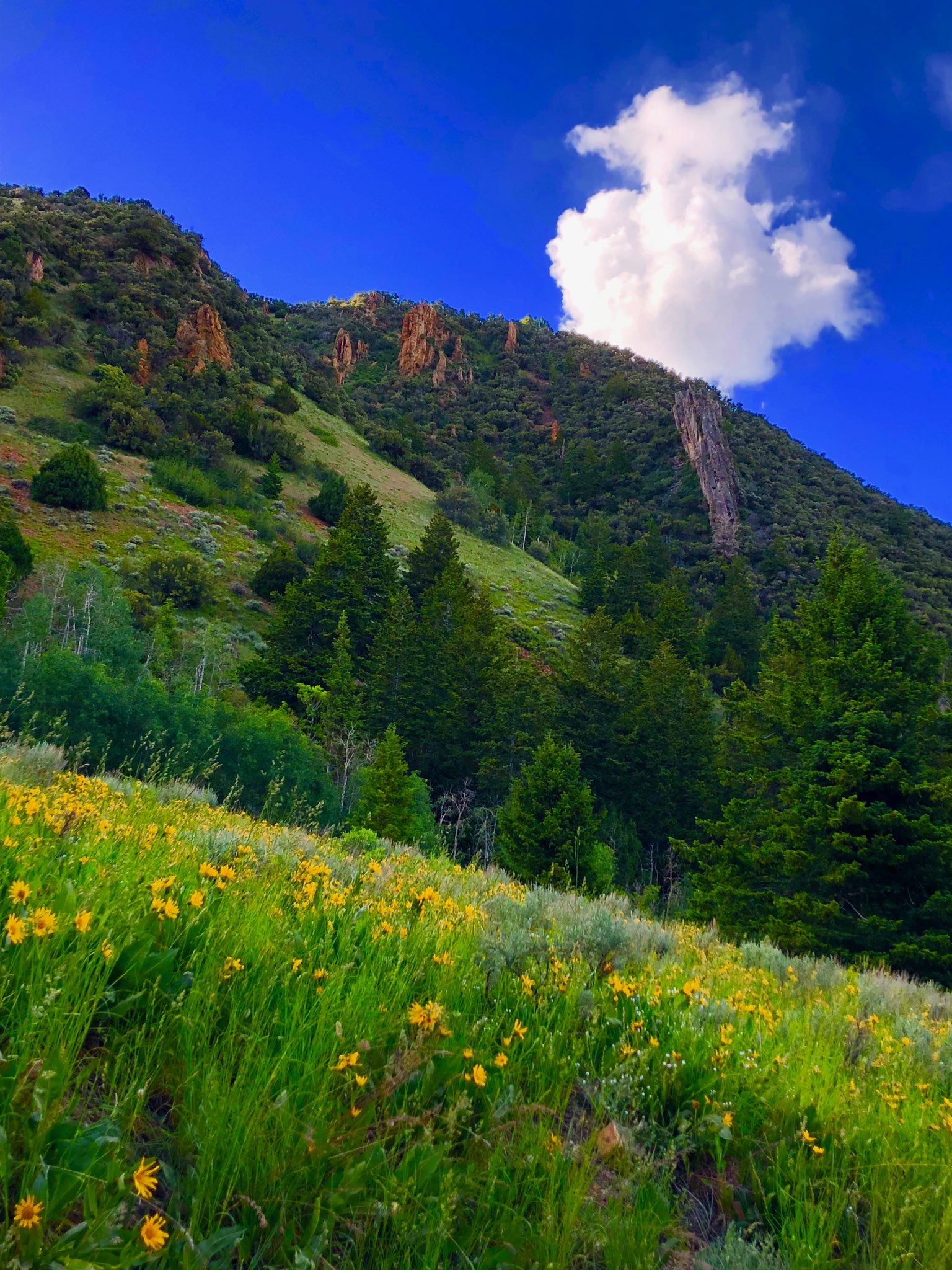 Loop Campground (Ut)