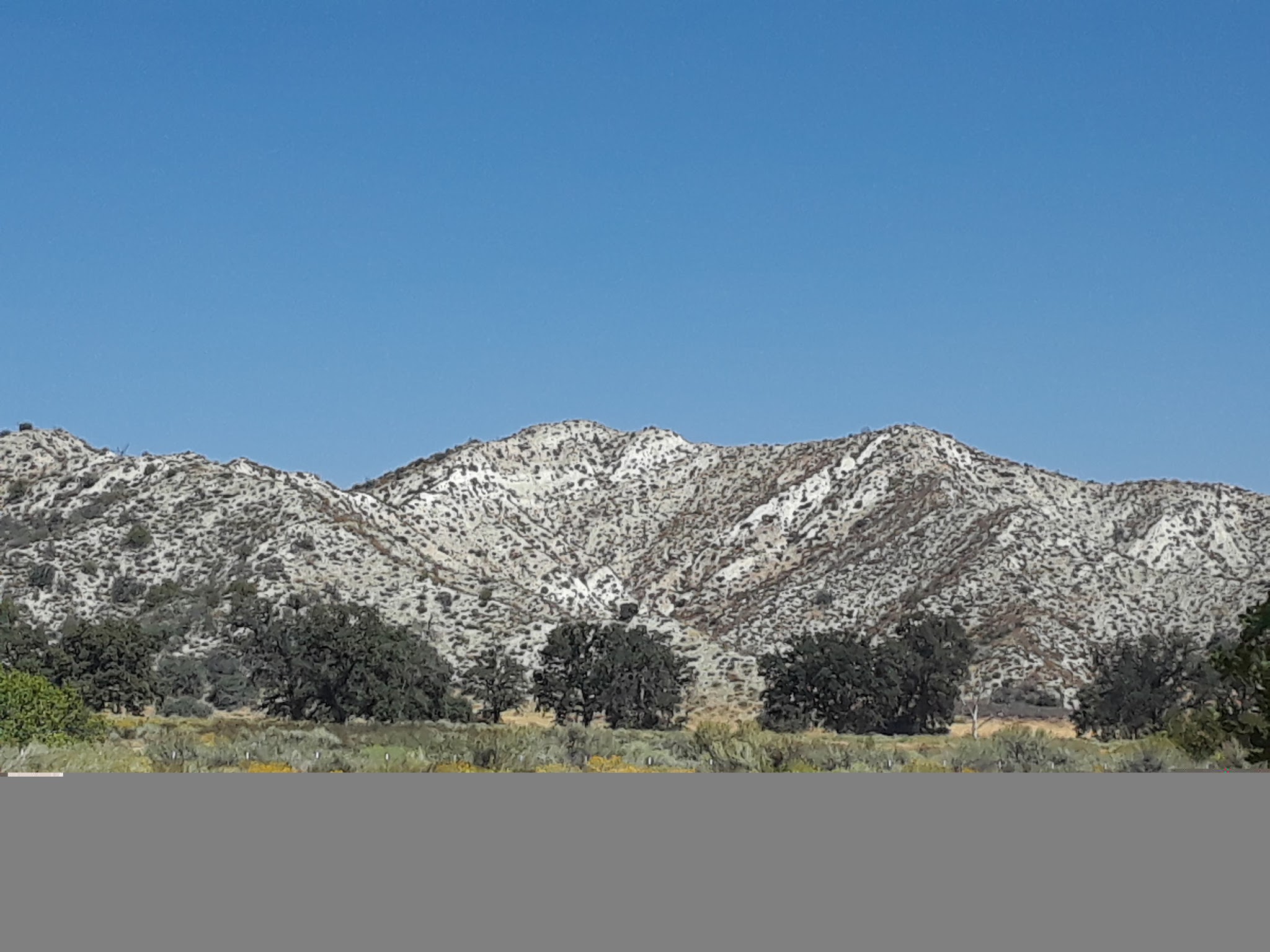 Pyramid Lake--Los Alamos Group Campground