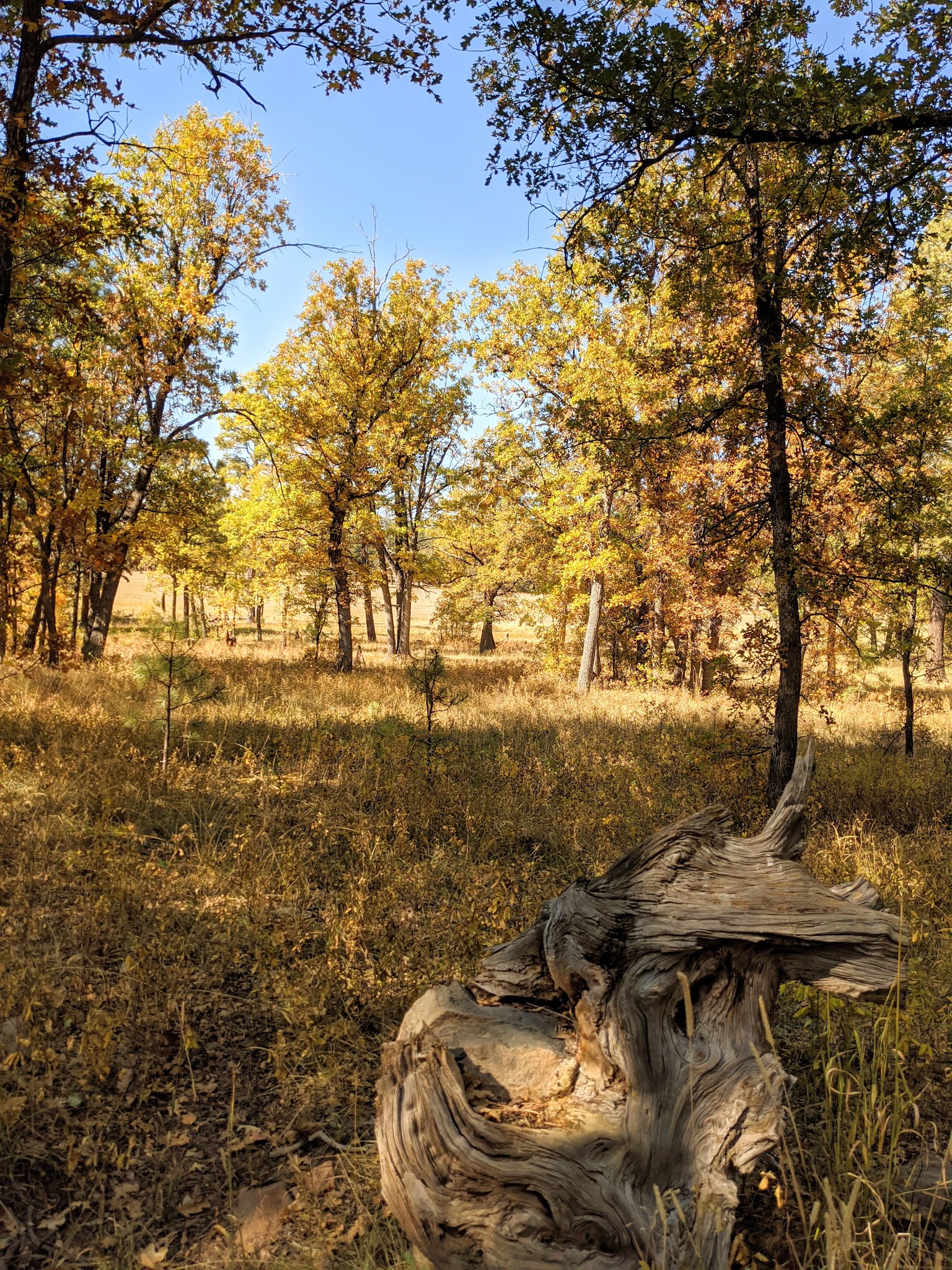 Los Burros Campground