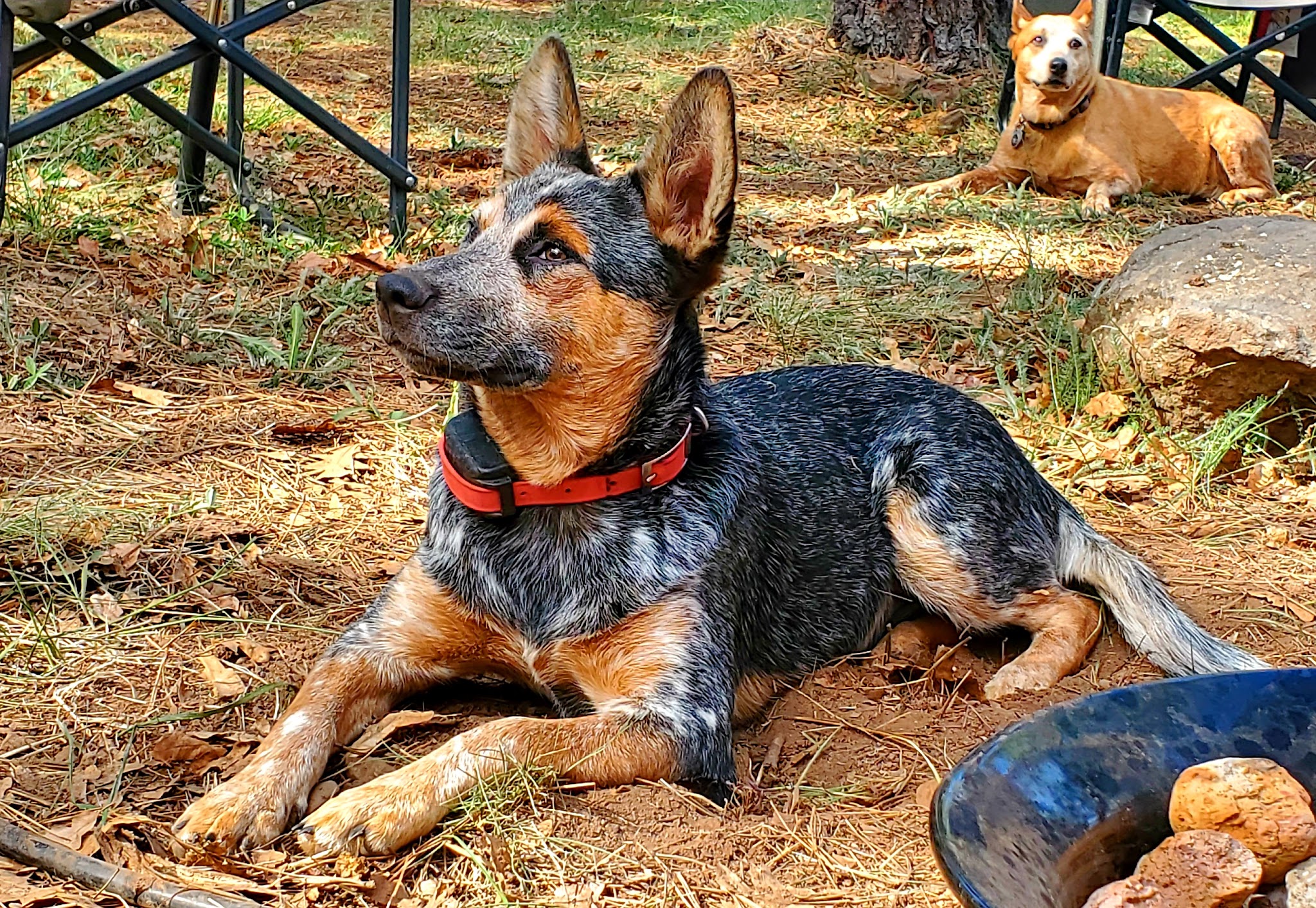 Los Burros Campground