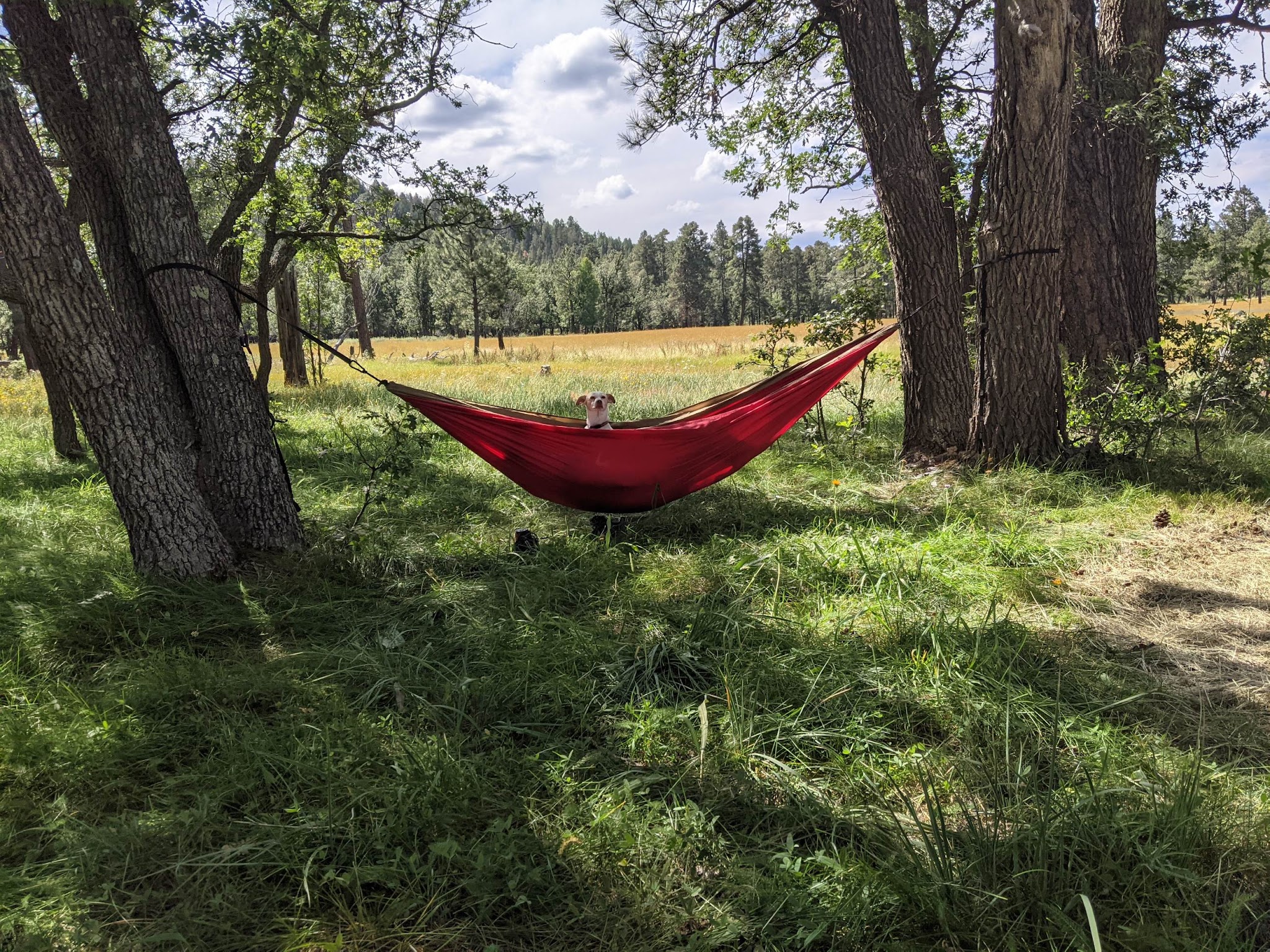 Los Burros Campground