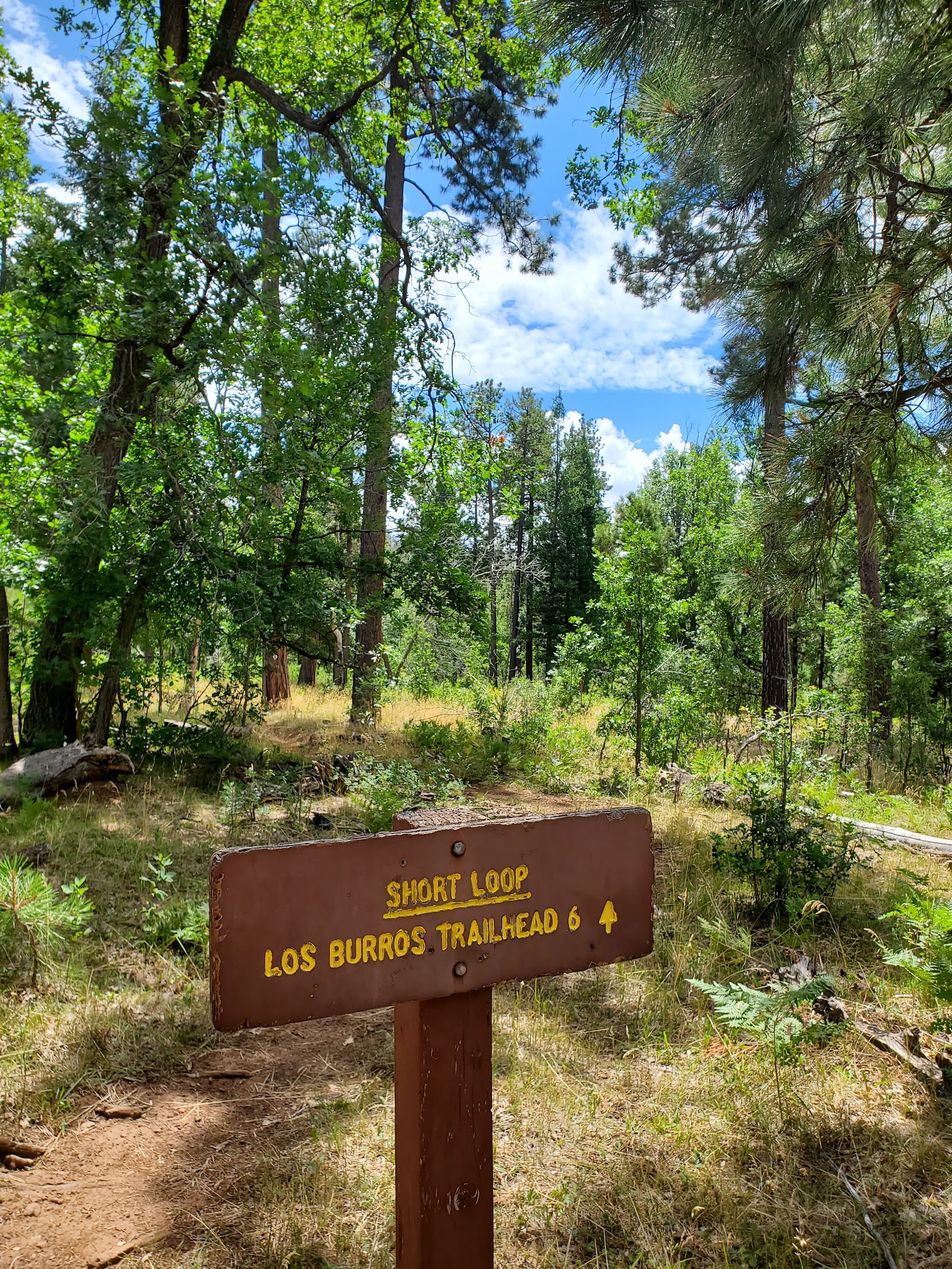 Los Burros Campground