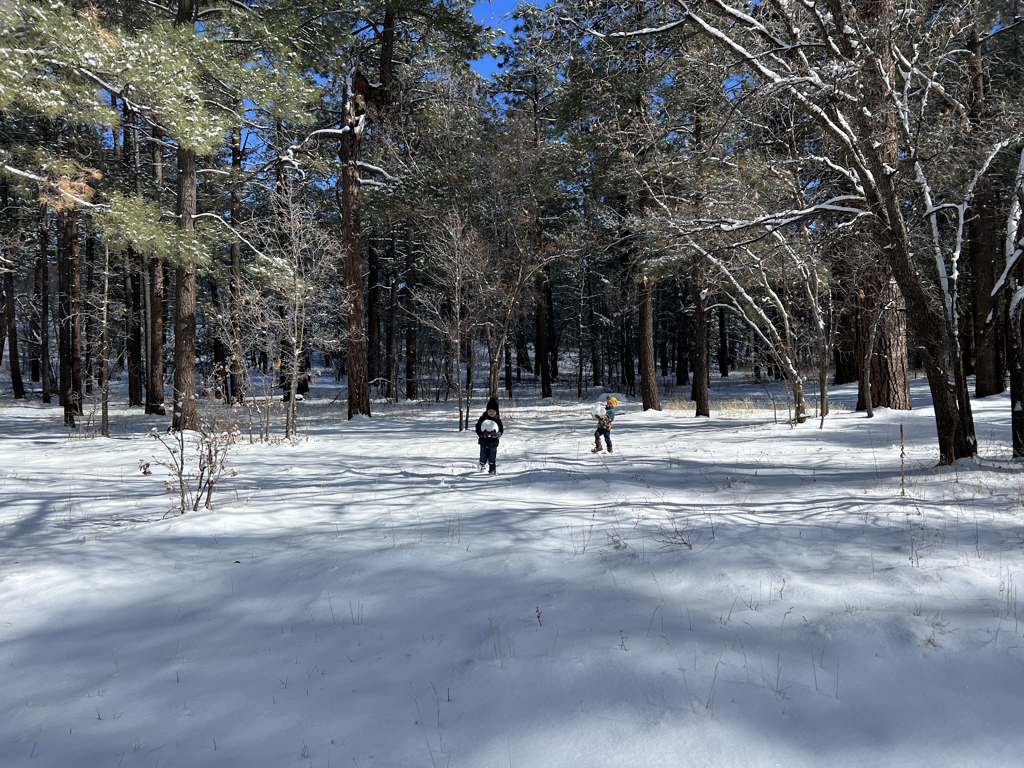 Los Burros Campground