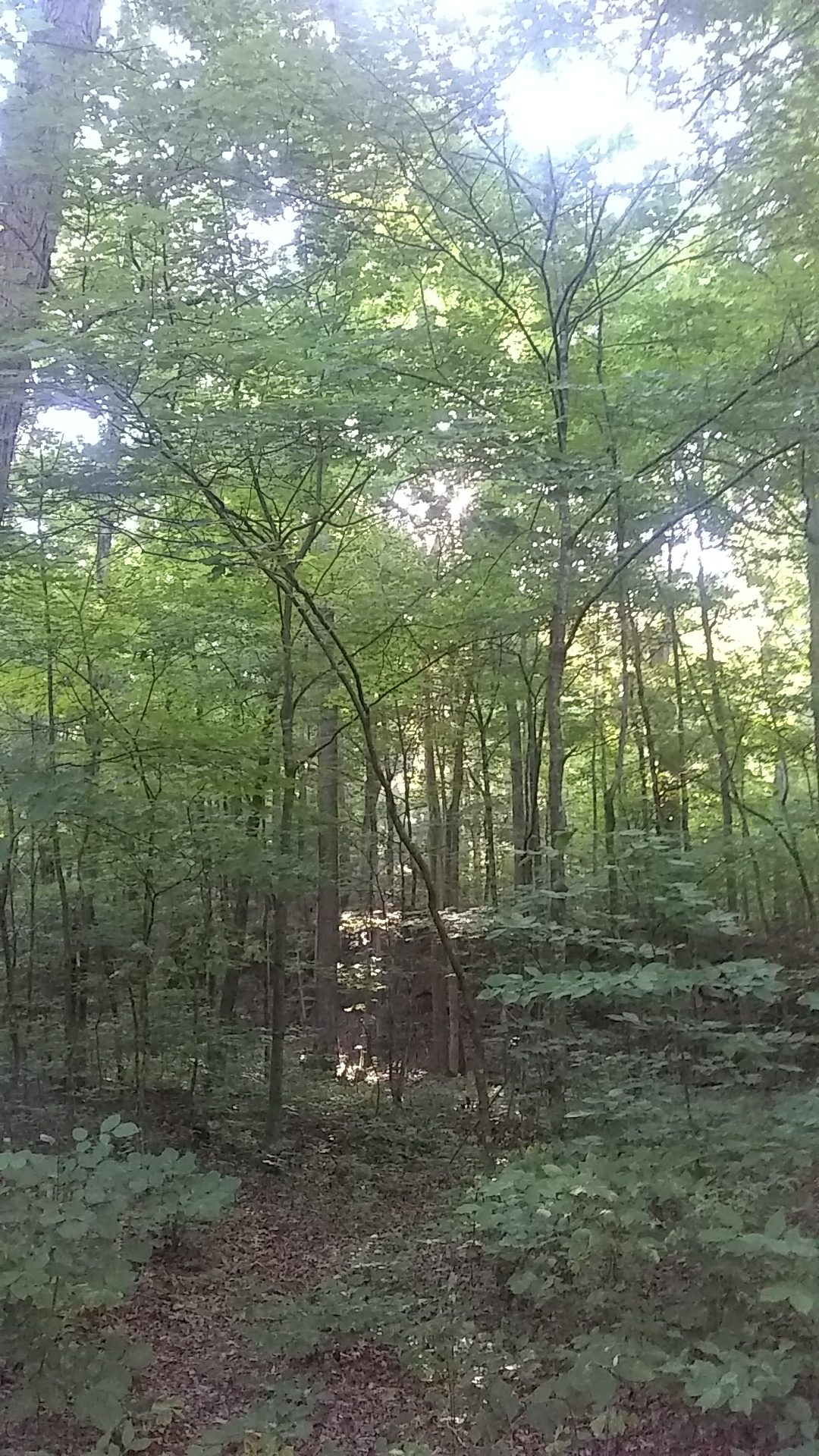 Lost Corral Horse Camp