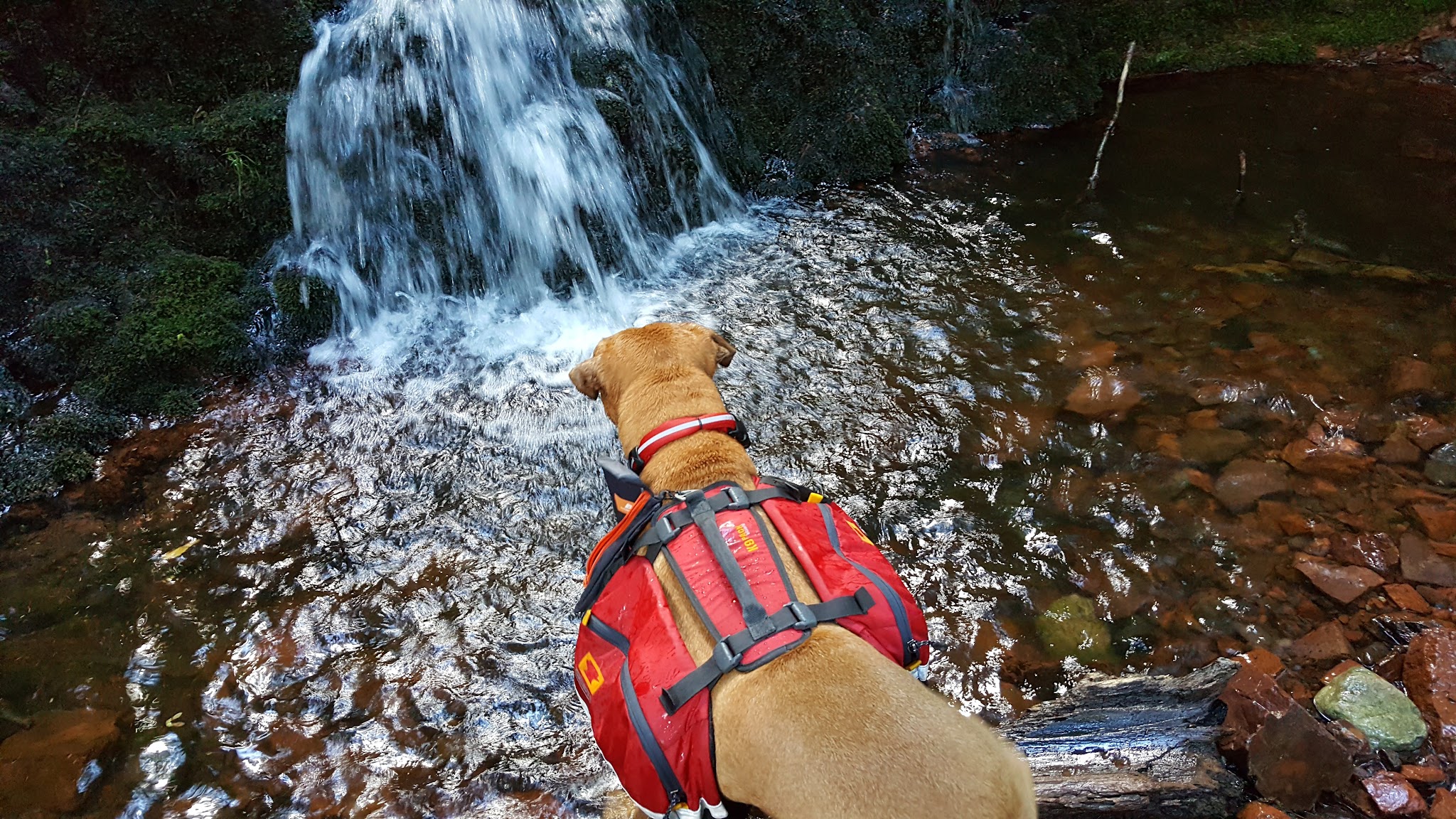 Porcupine Mountains-Lost Creek Outpost Rustic Camp