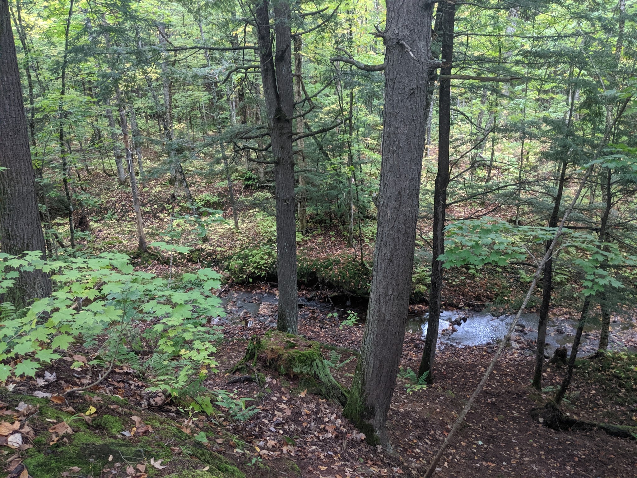 Porcupine Mountains-Lost Creek Outpost Rustic Camp