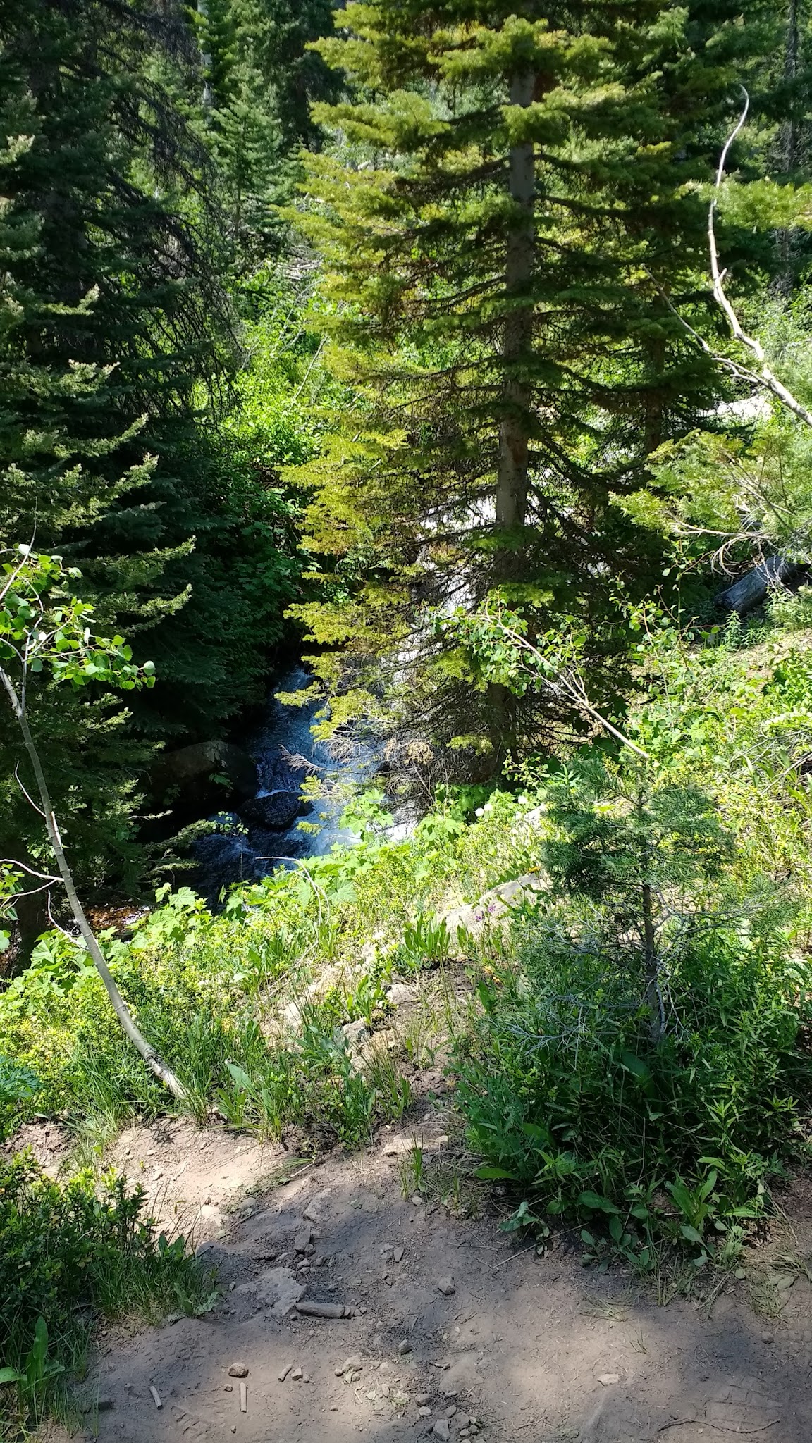 Lost Lake Campground-Paonia Rd