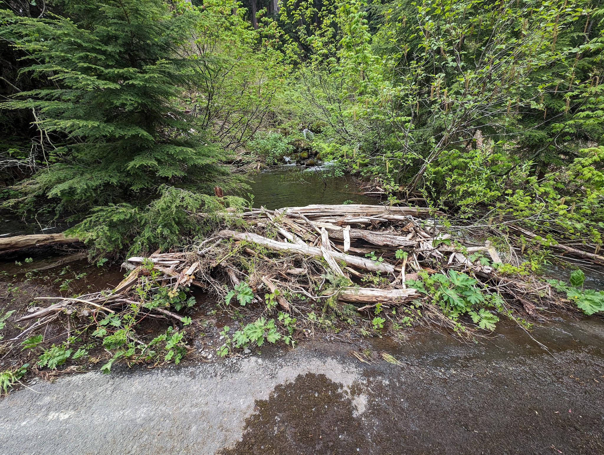 Lost Lake Campground, Resort And Day Use Area
