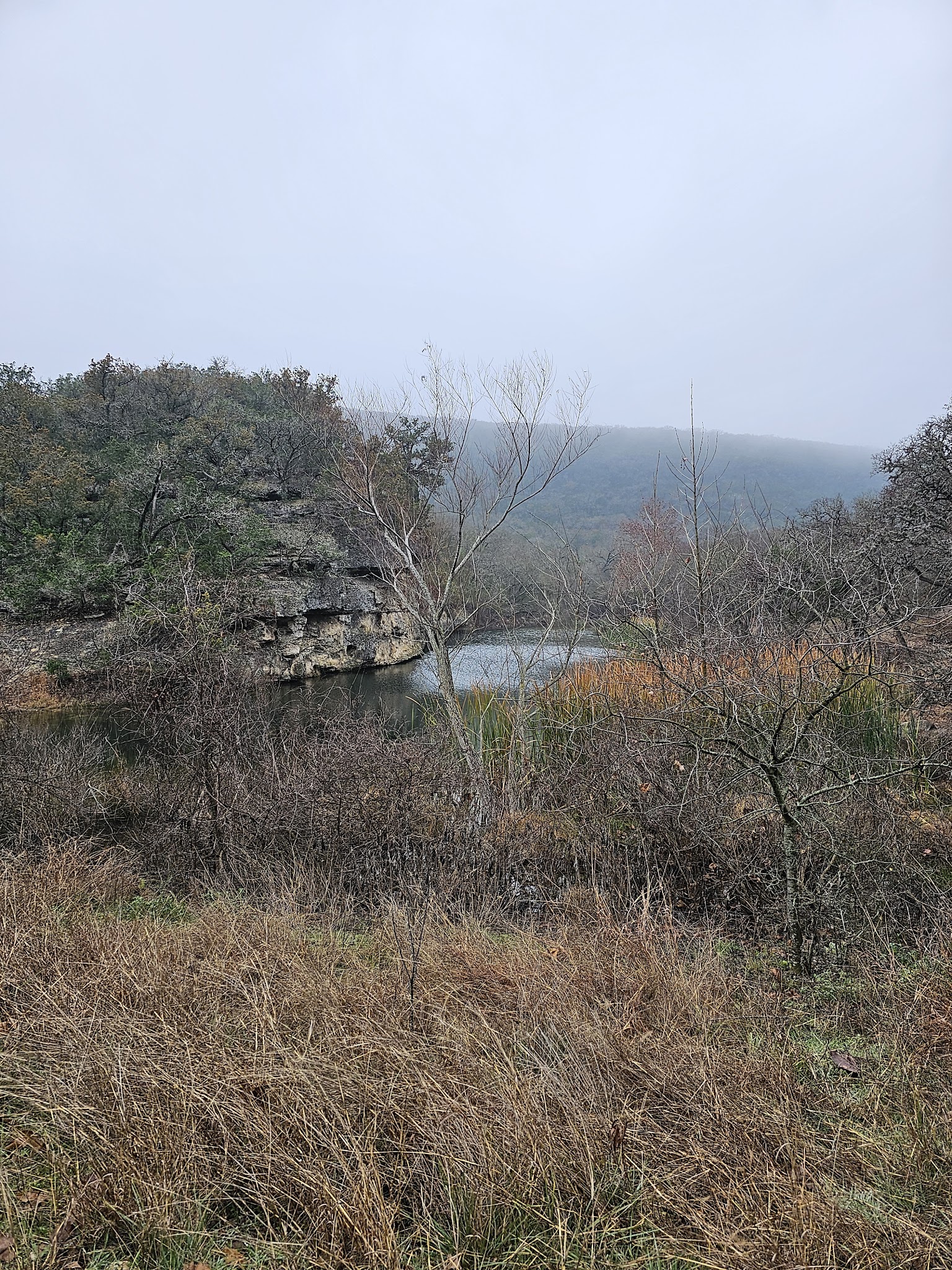 Lost Maples State Natural Area