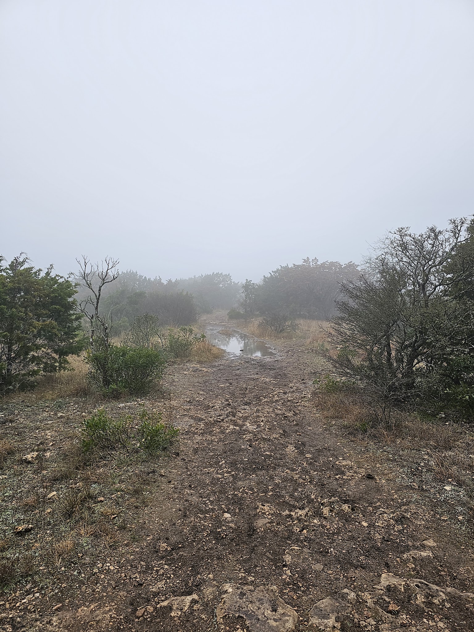 Lost Maples State Natural Area