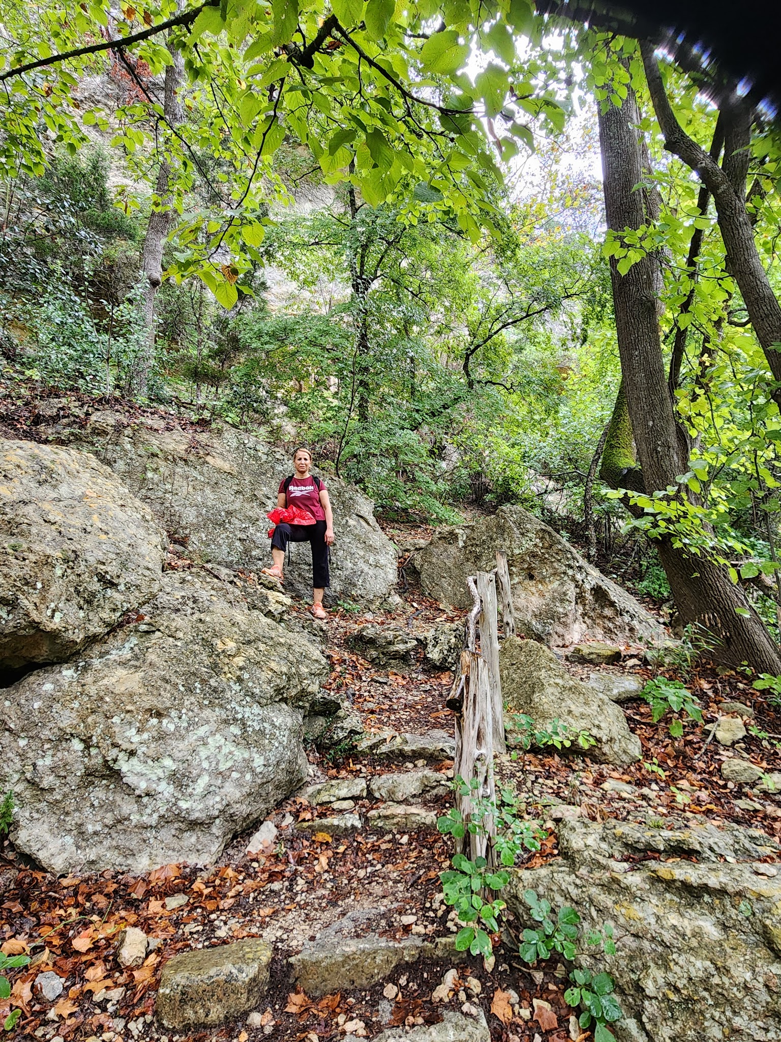 Lost Maples State Natural Area