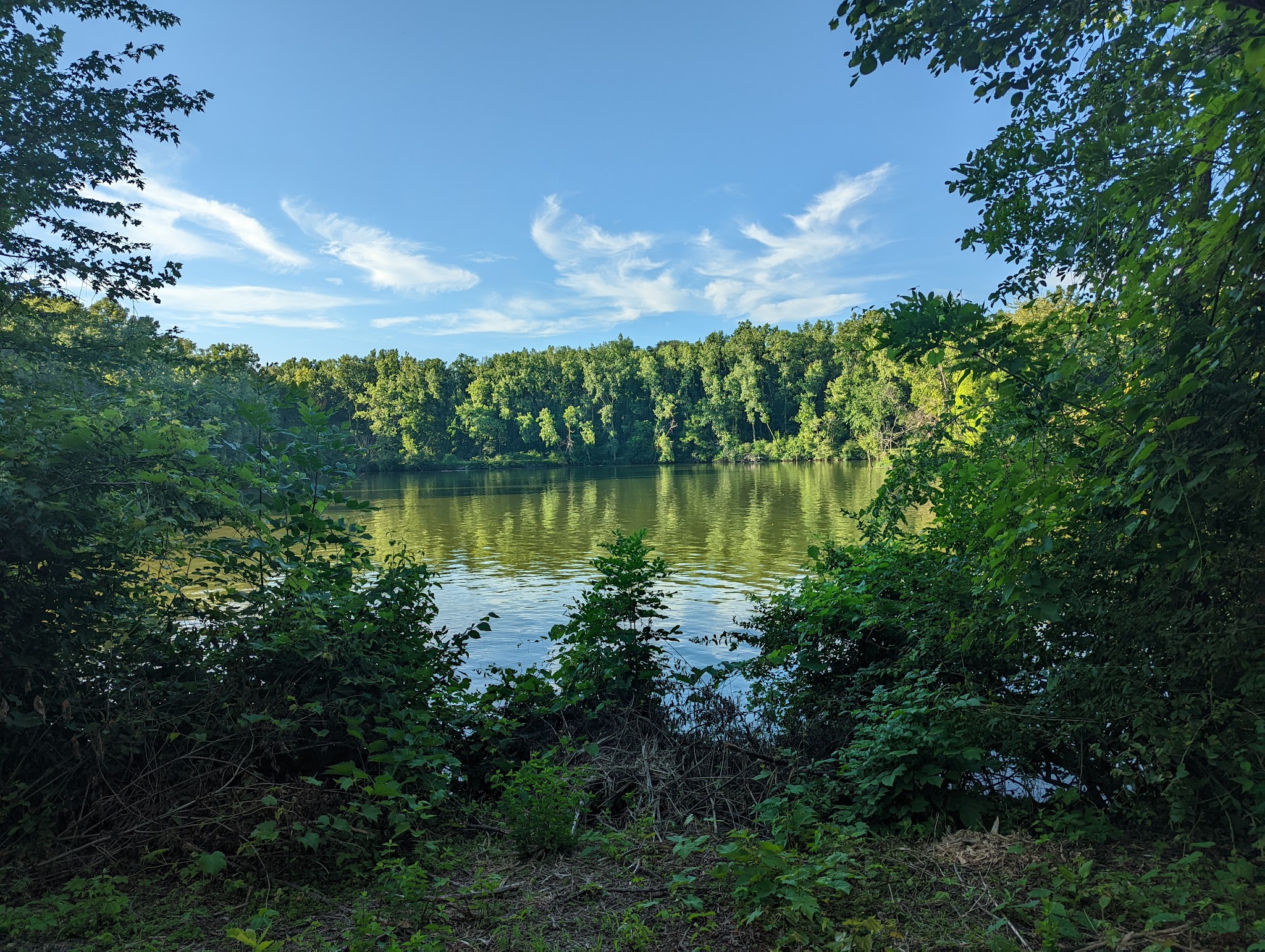 Lotus Cove Campground